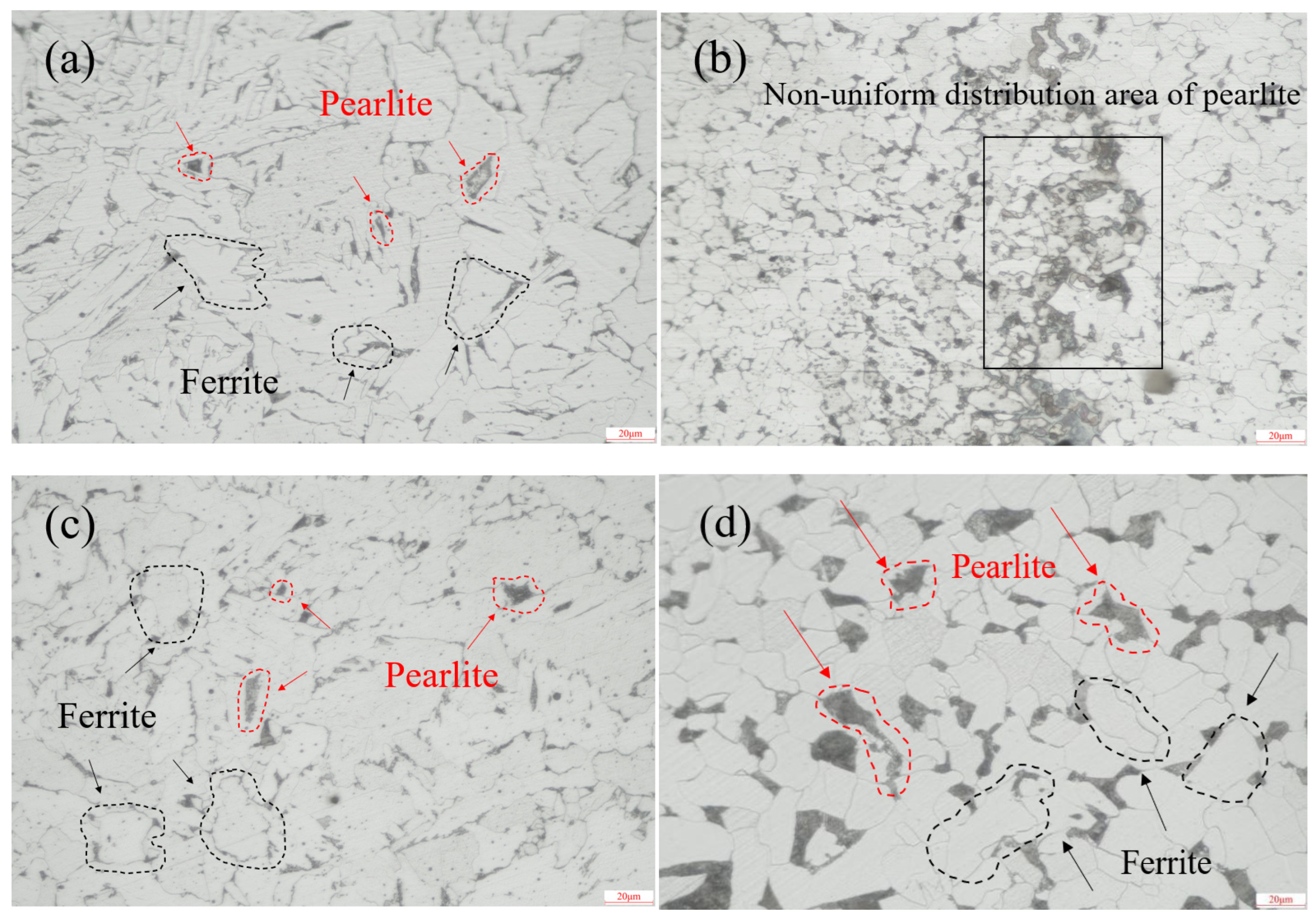 Molecules 30 04499 g002 Molecules 30 04499 g002