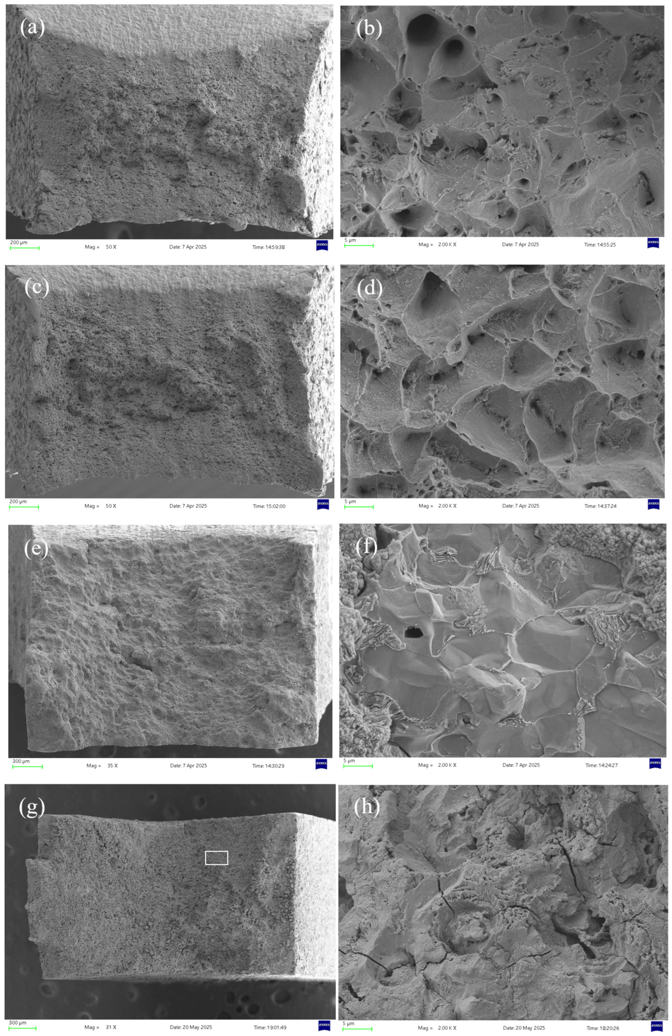 Molecules 30 04499 g014 Molecules 30 04499 g014