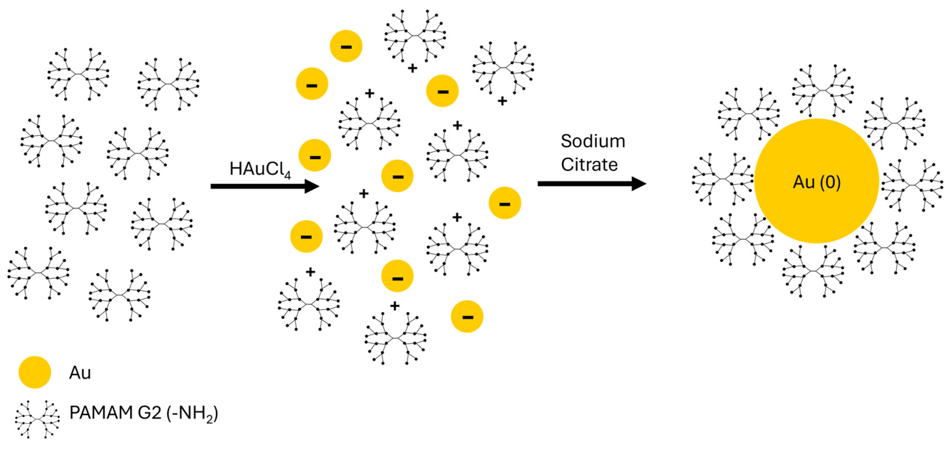 Molecules 30 04509 g002 Molecules 30 04509 g002
