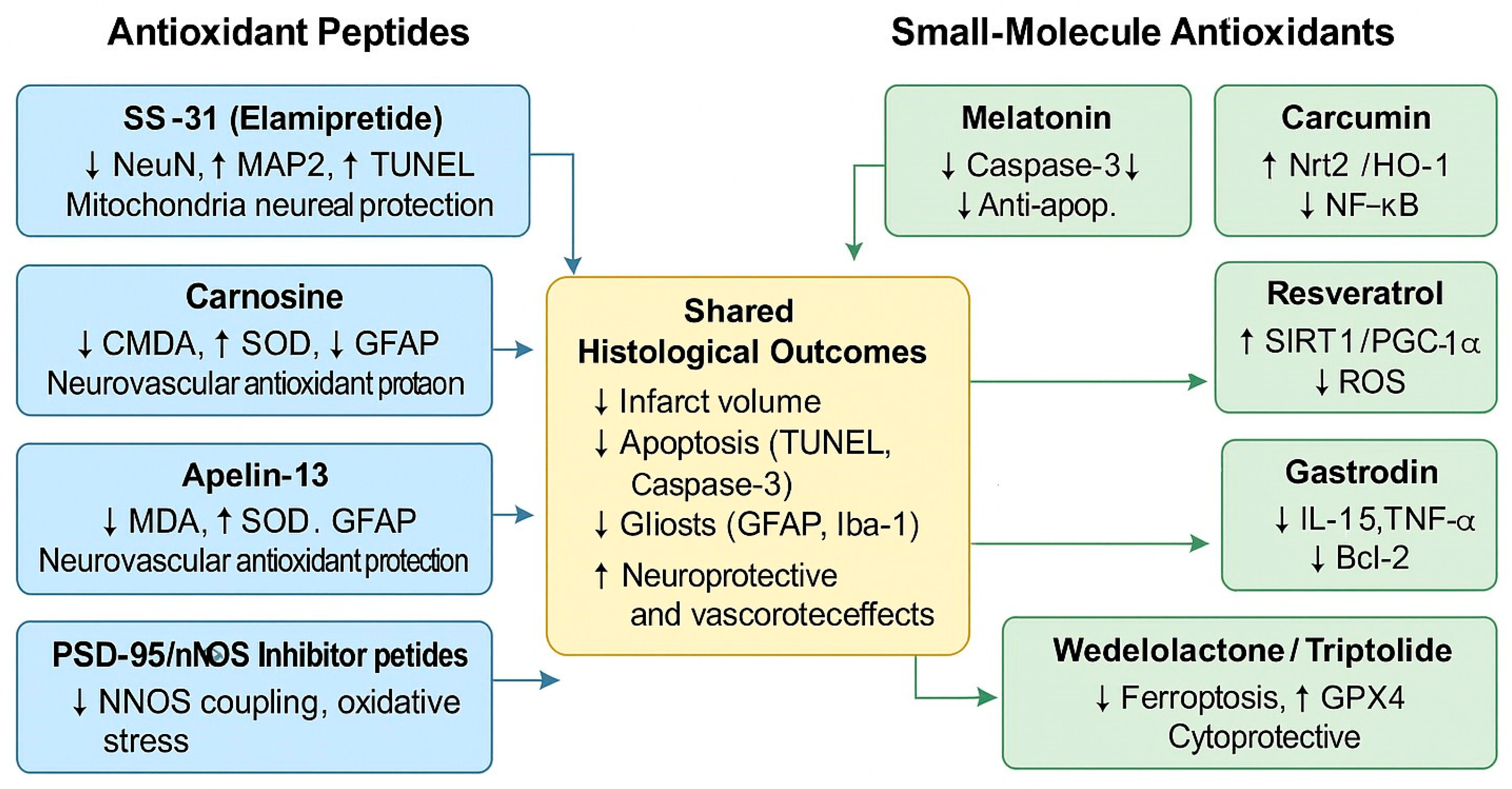 Molecules 30 04529 g002 Molecules 30 04529 g002