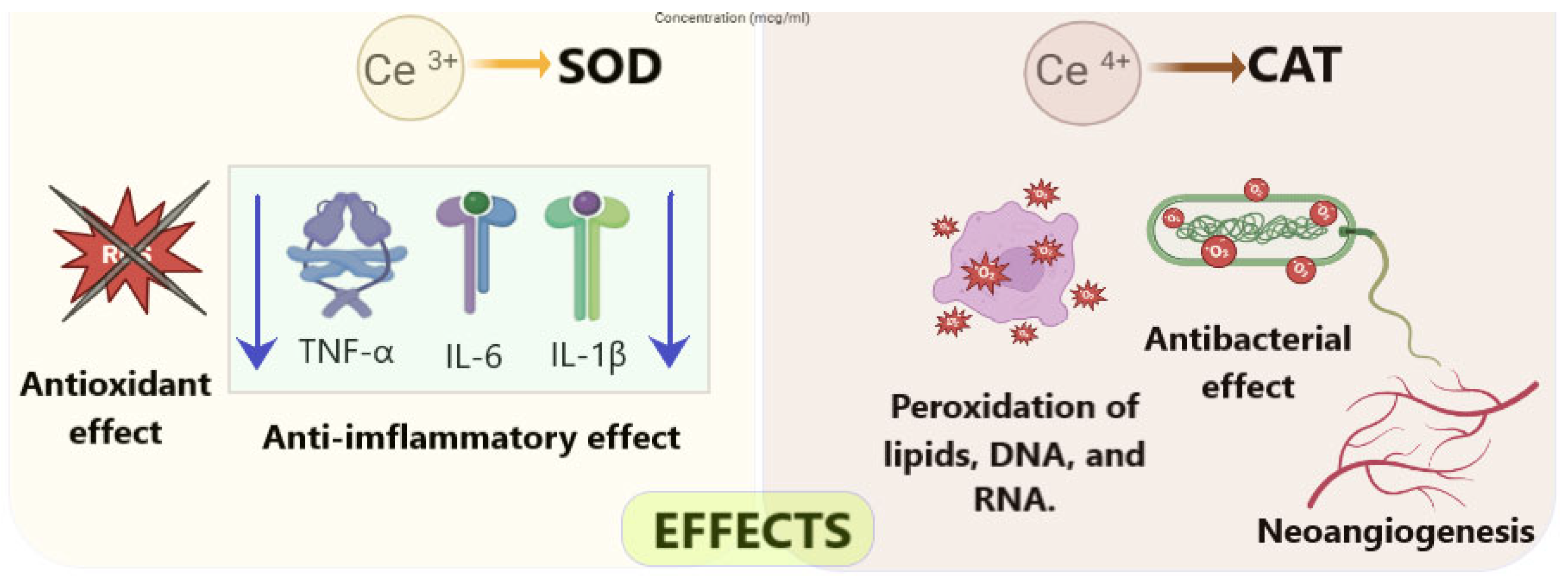 Molecule Model Activity The Effectiveness of Cerium Oxide Nanoparticle-Based Drugs in Wound ...