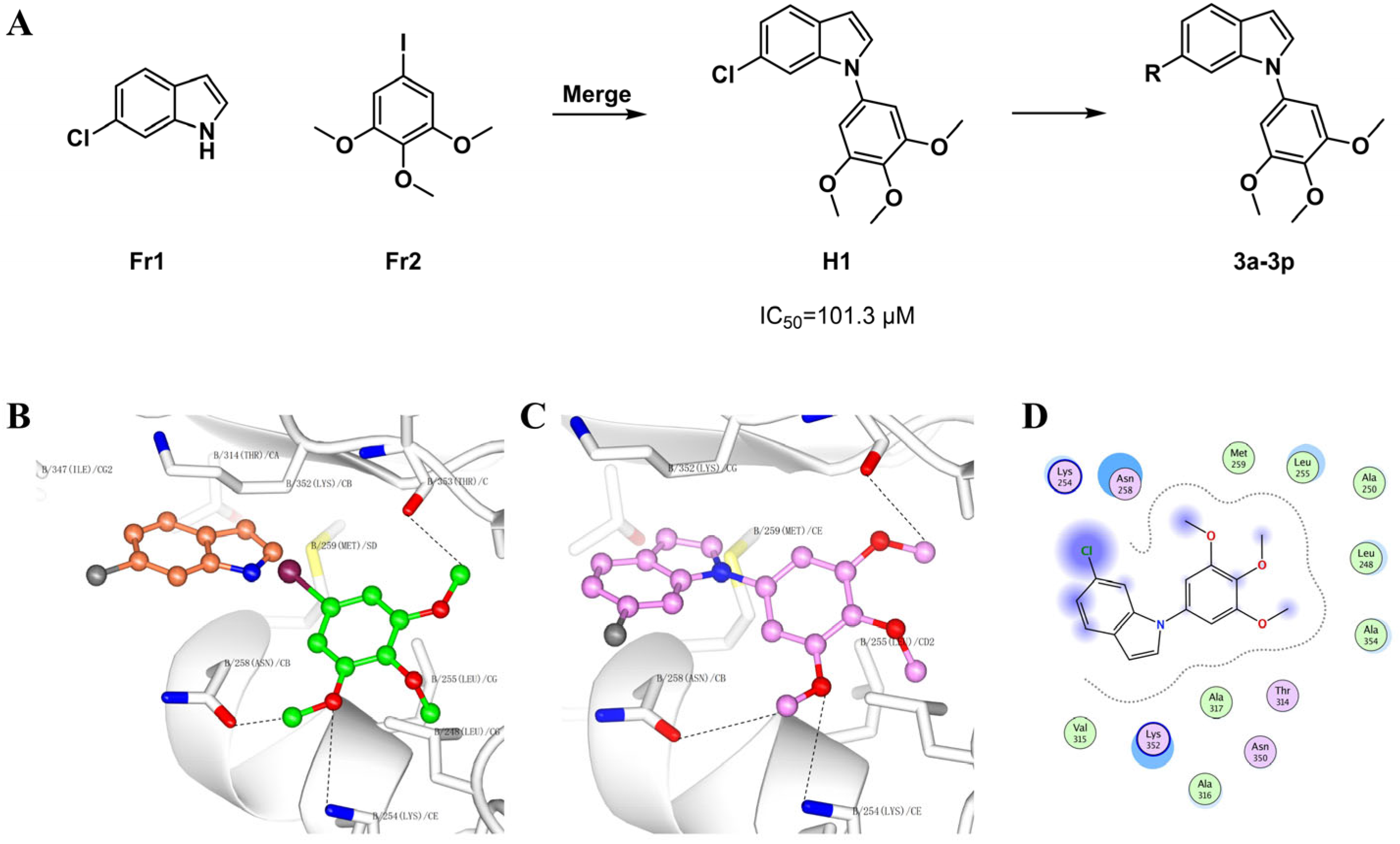Molecules 30 04538 g001 Molecules 30 04538 g001