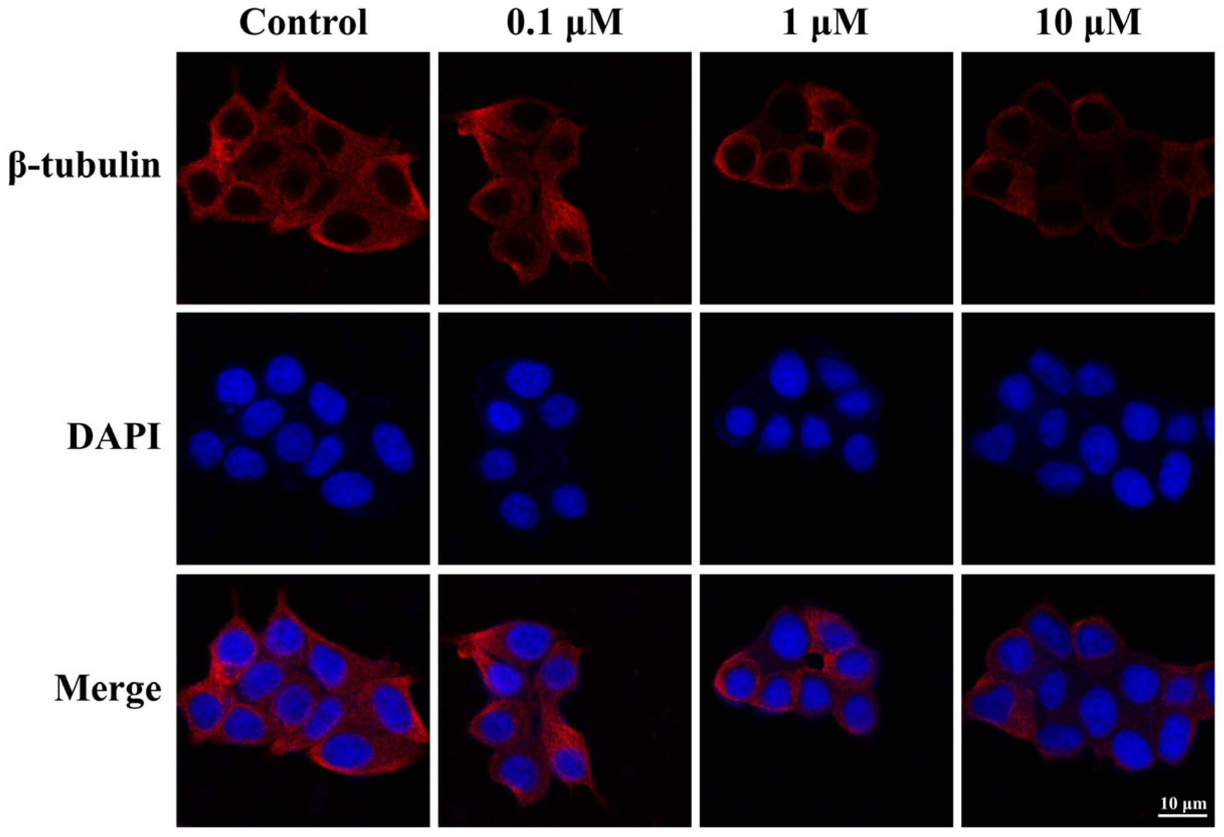 Molecules 30 04538 g005 Molecules 30 04538 g005