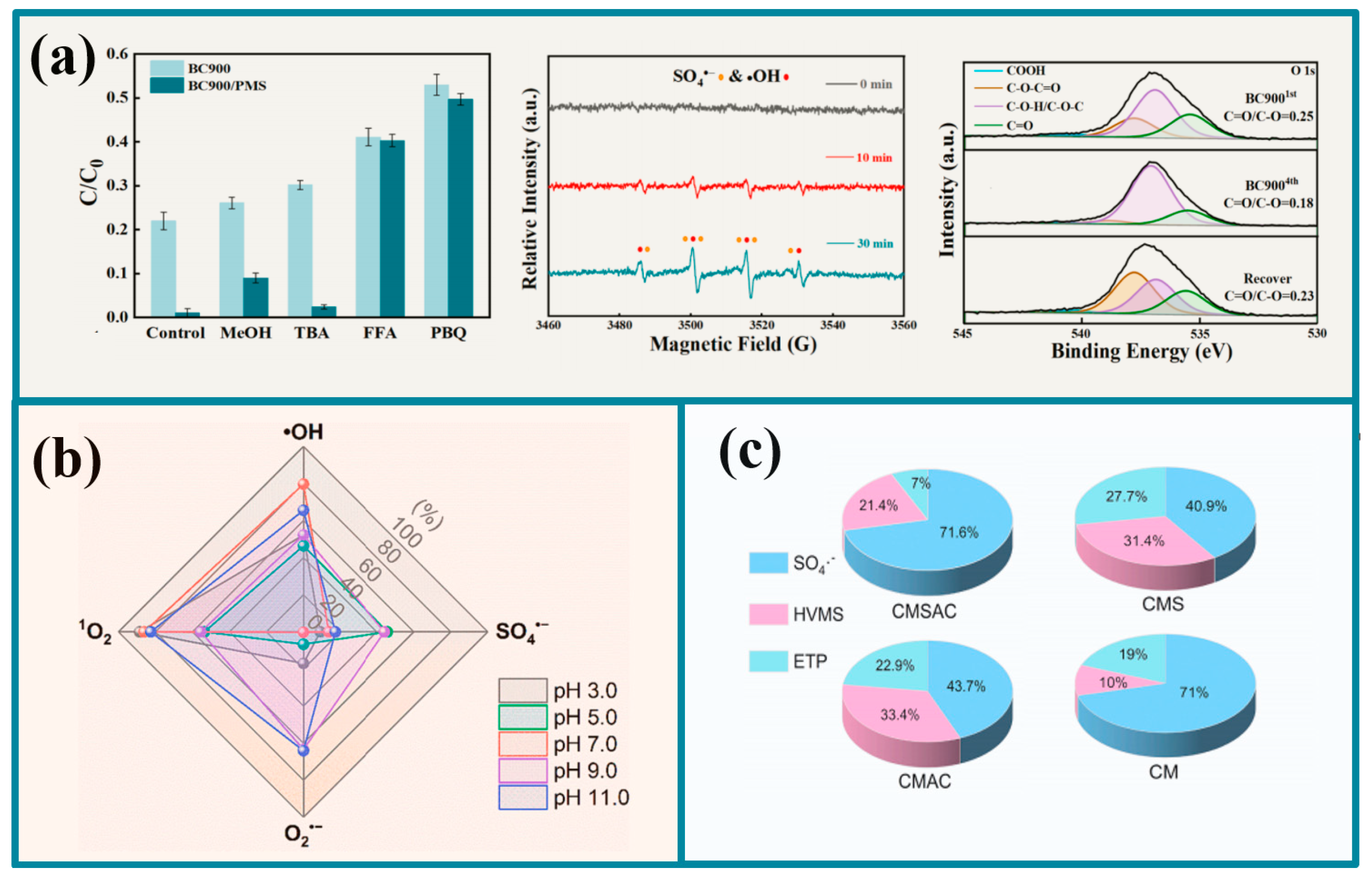 Molecules 30 04549 g005