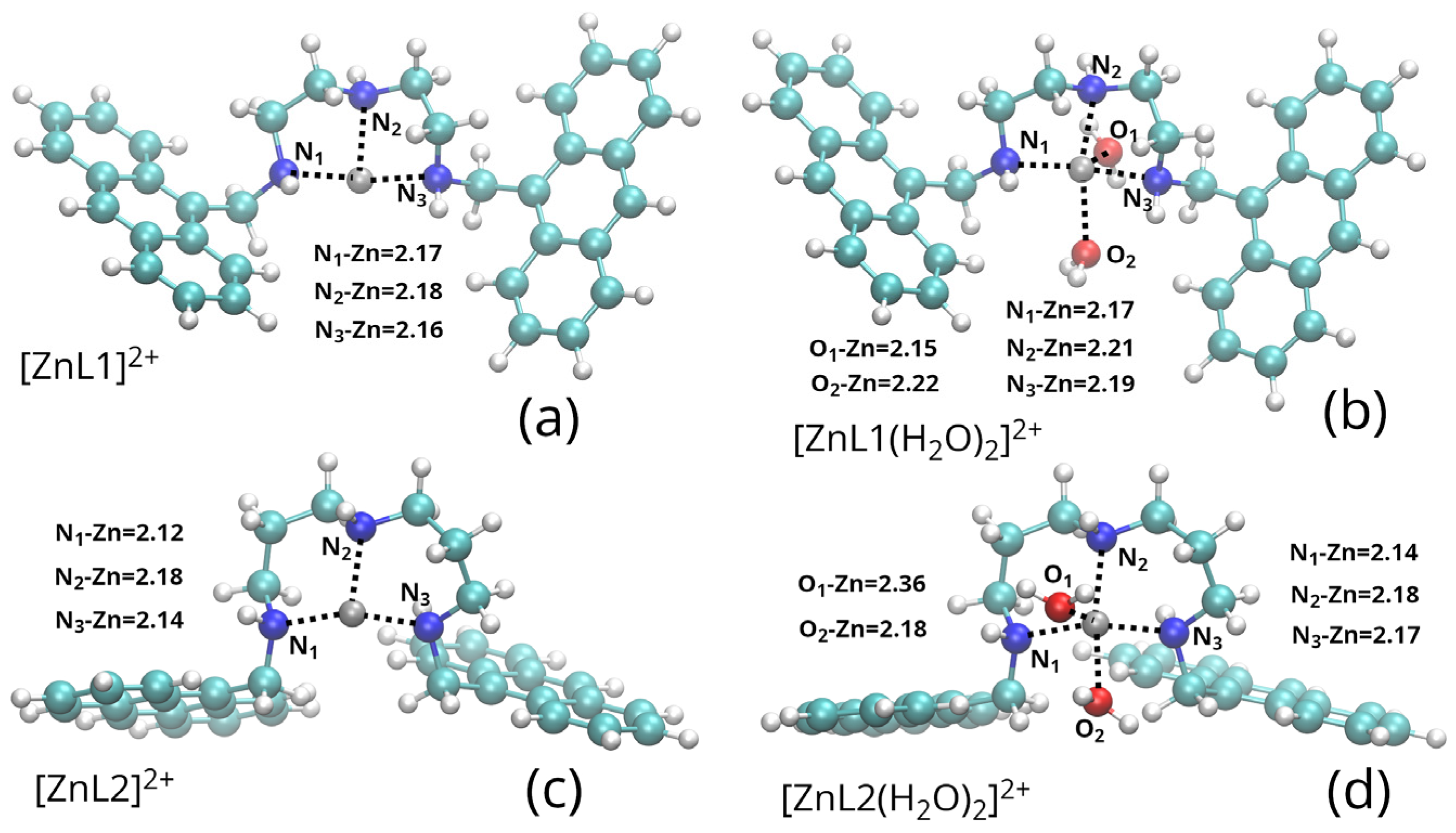 Molecules 30 04556 g003 Molecules 30 04556 g003