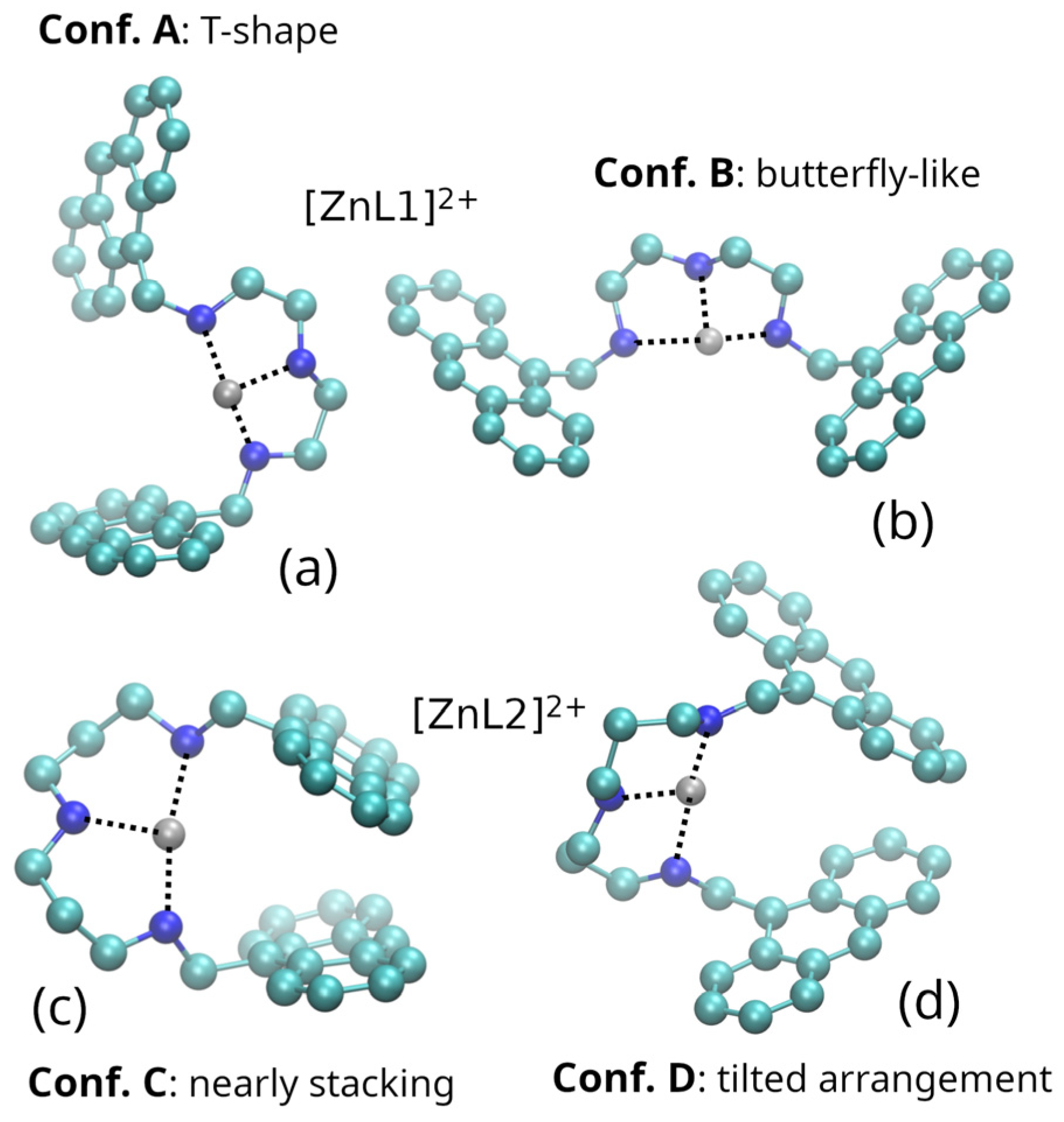 Molecules 30 04556 g004 Molecules 30 04556 g004