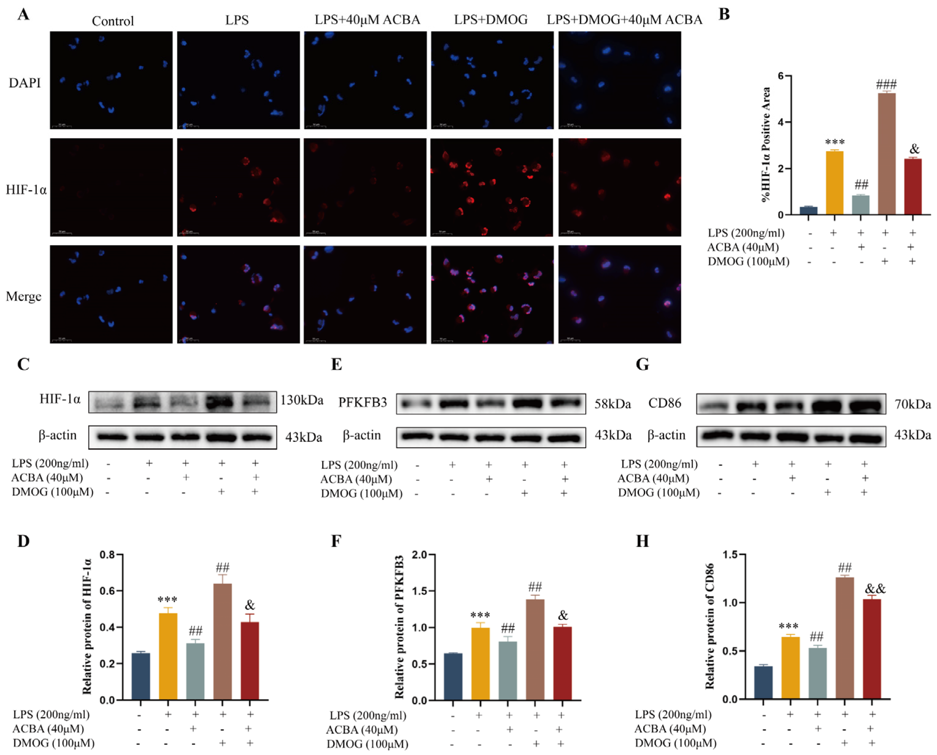 Molecules 30 04571 g011