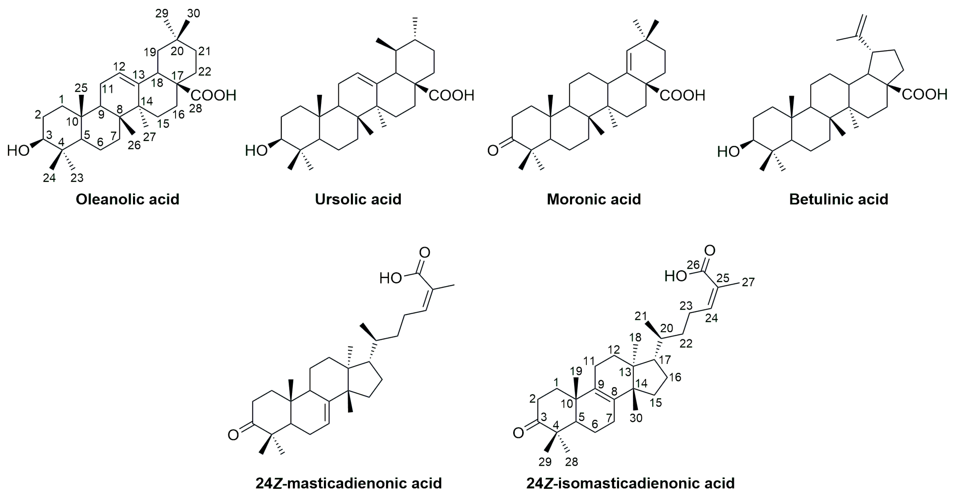 Molecules 30 04572 g001 Molecules 30 04572 g001