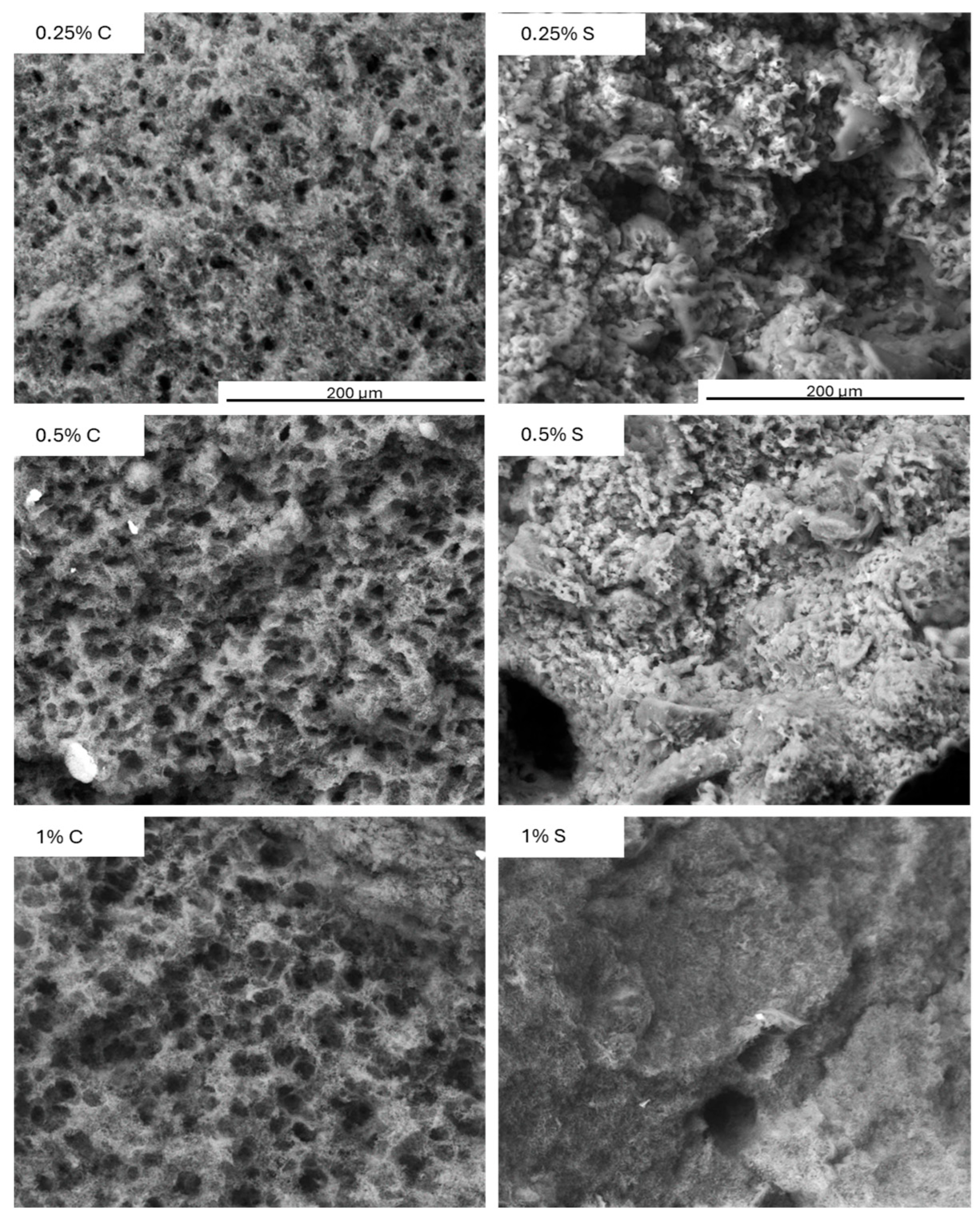 Molecules 30 04581 g008