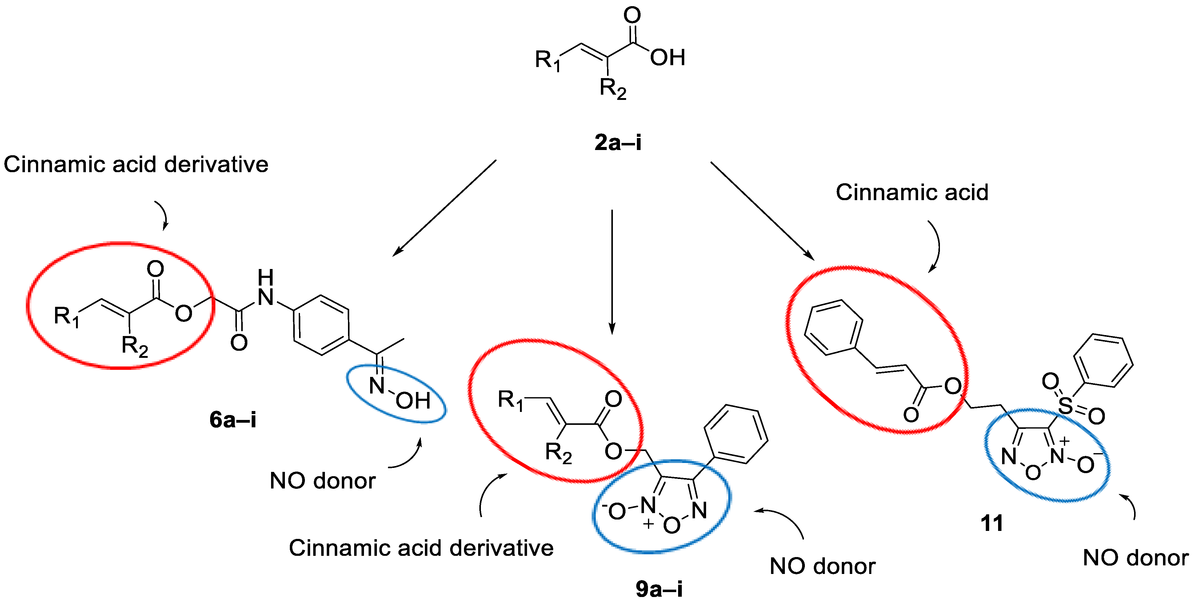 Molecules 30 04582 g001