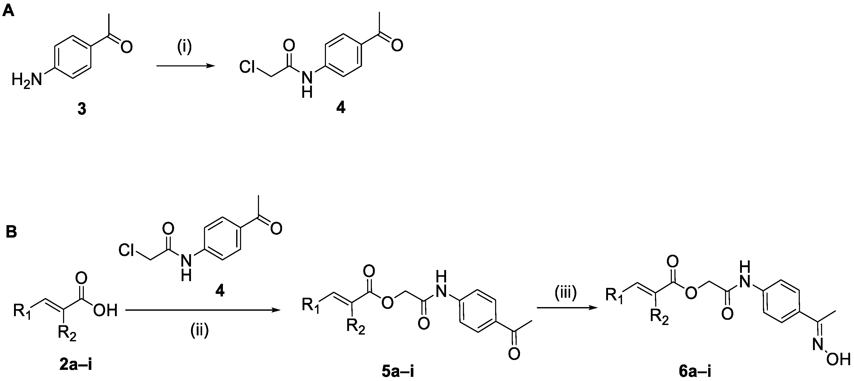 Molecules 30 04582 sch002