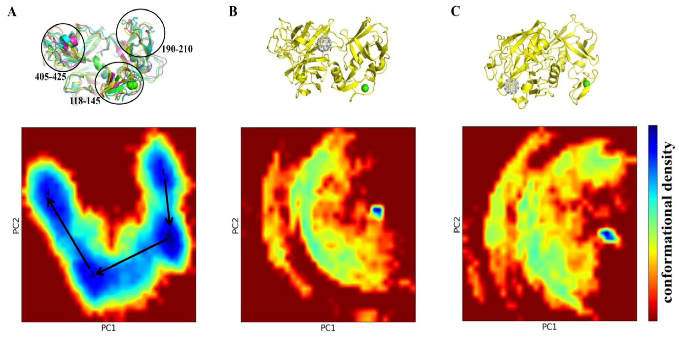 Molecules 30 04586 g005