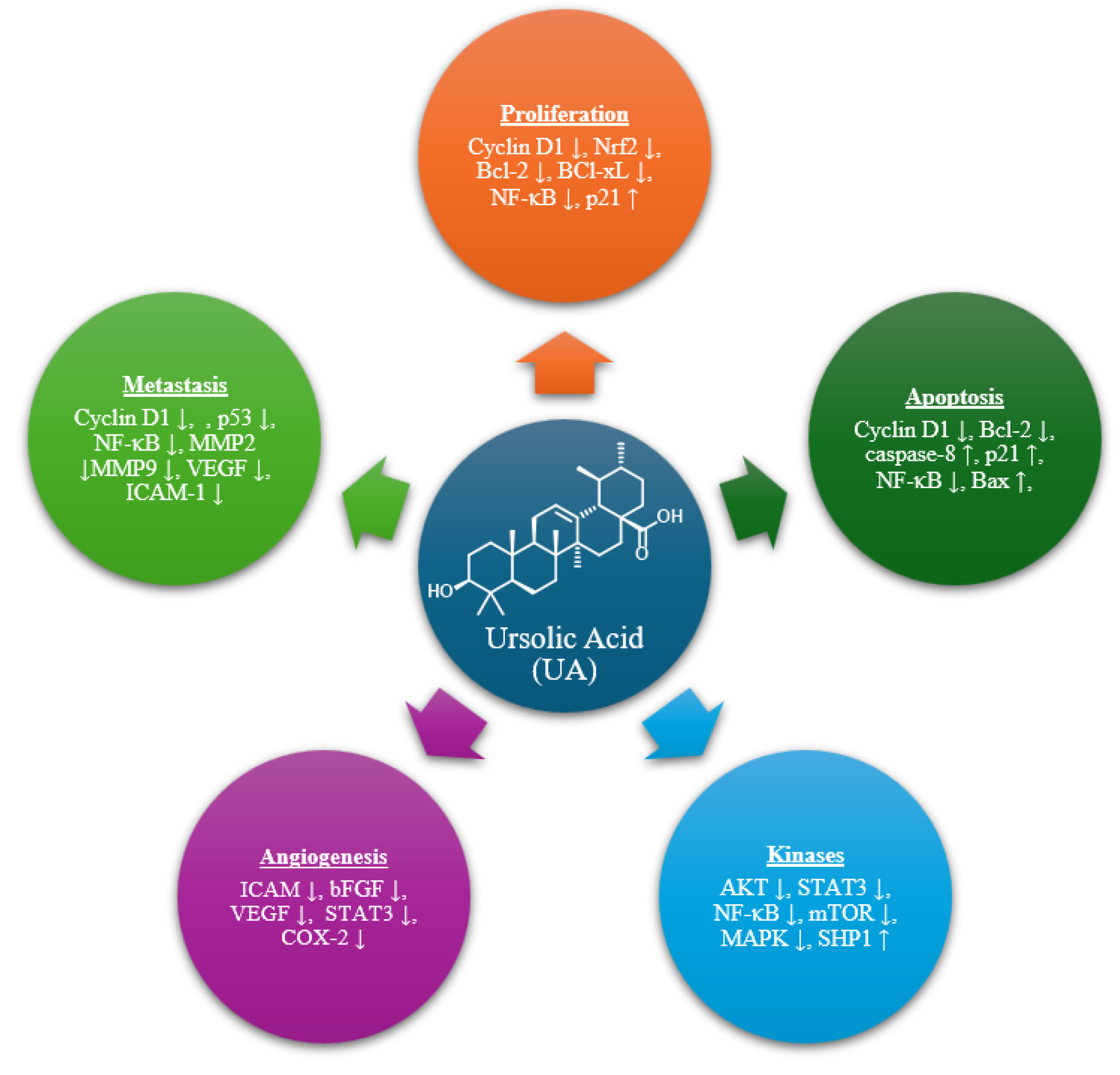 Molecules 30 04588 g001