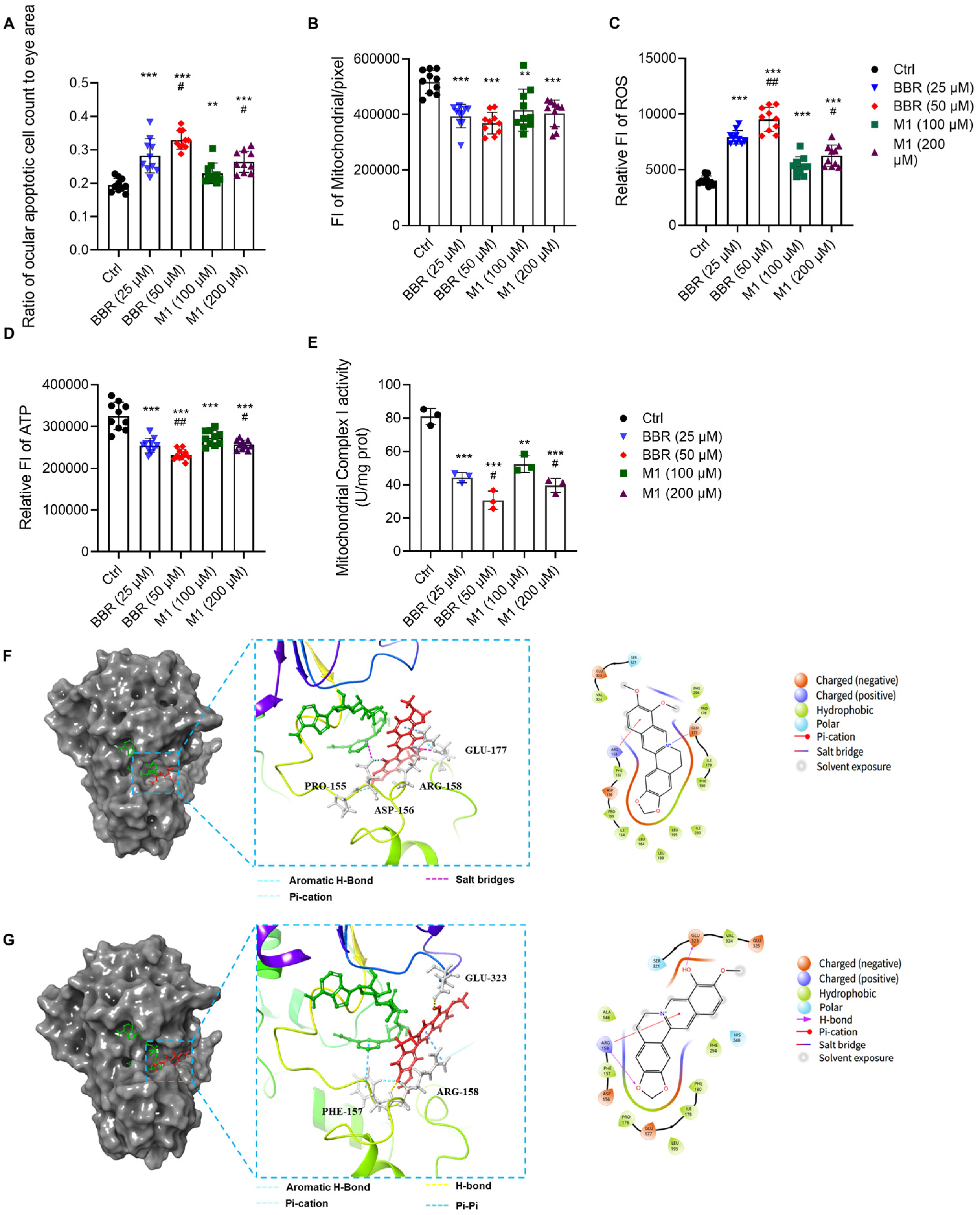 Molecules 30 04602 g004