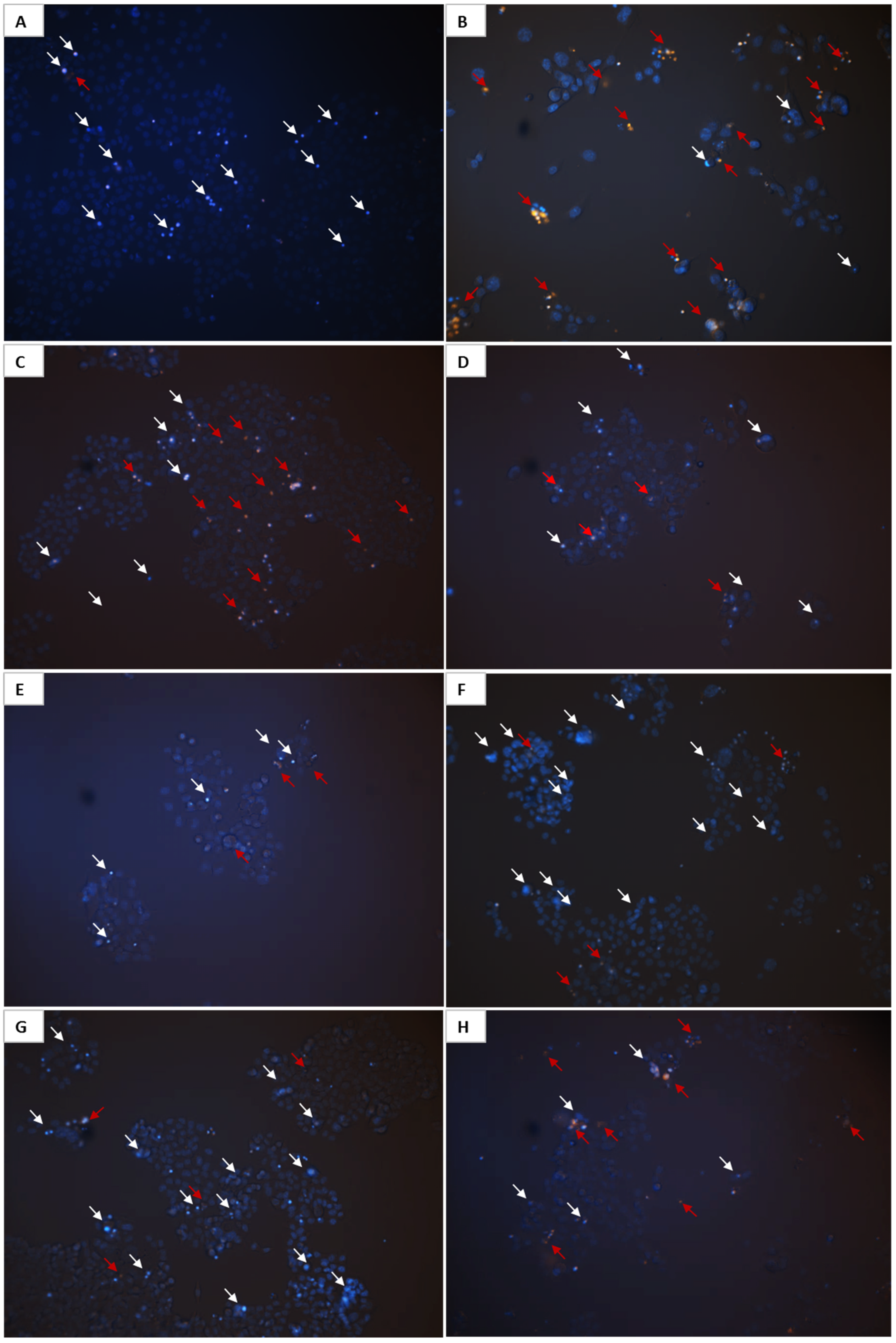 Molecules 30 04609 g011