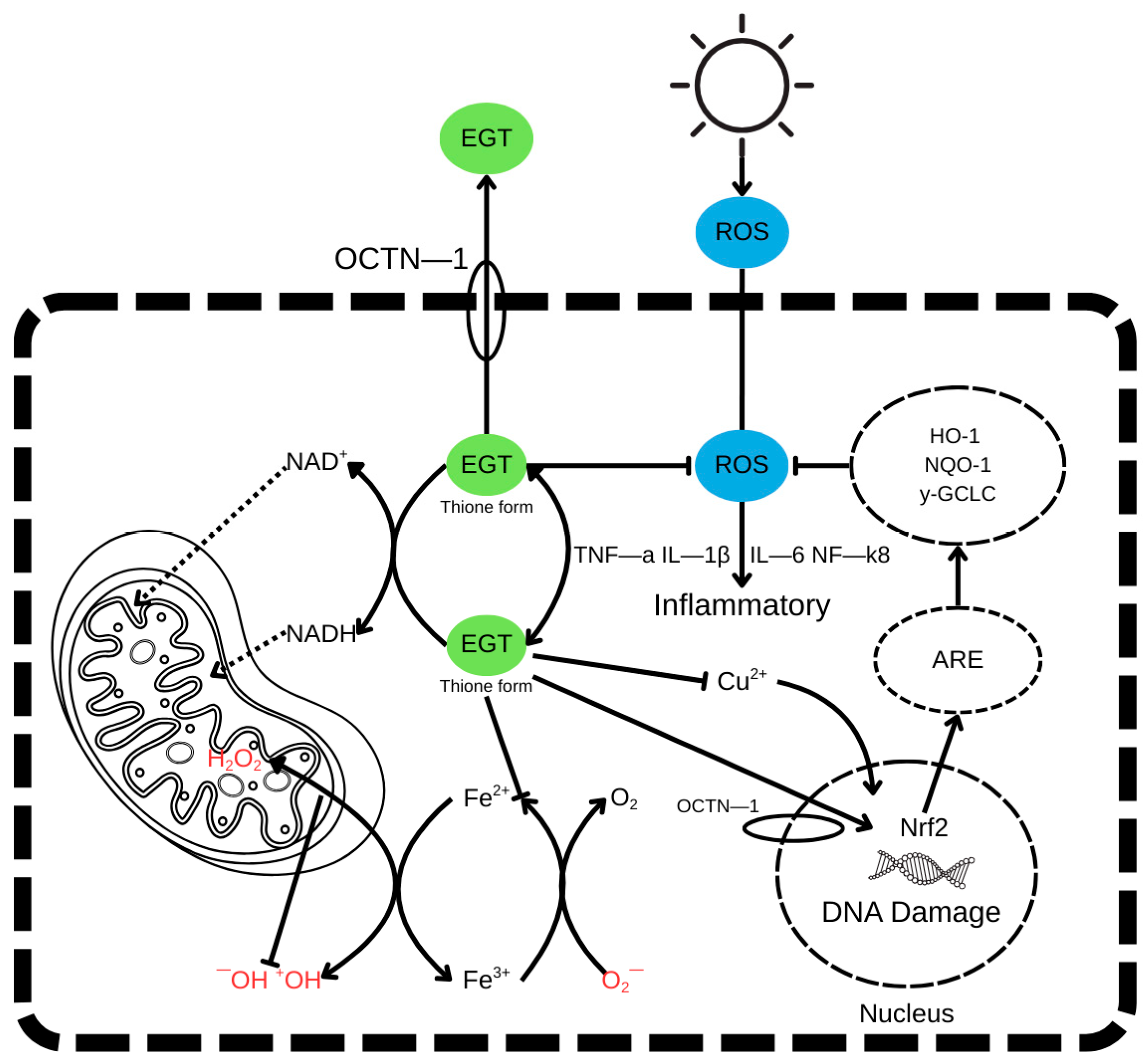 Molecules 30 04621 g002