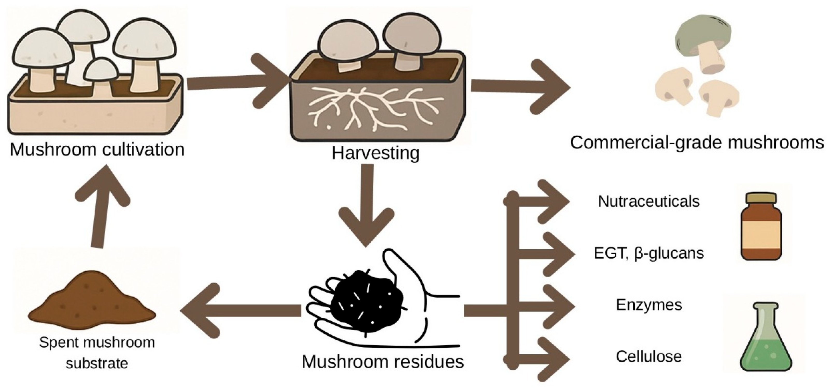 Molecules 30 04621 g004