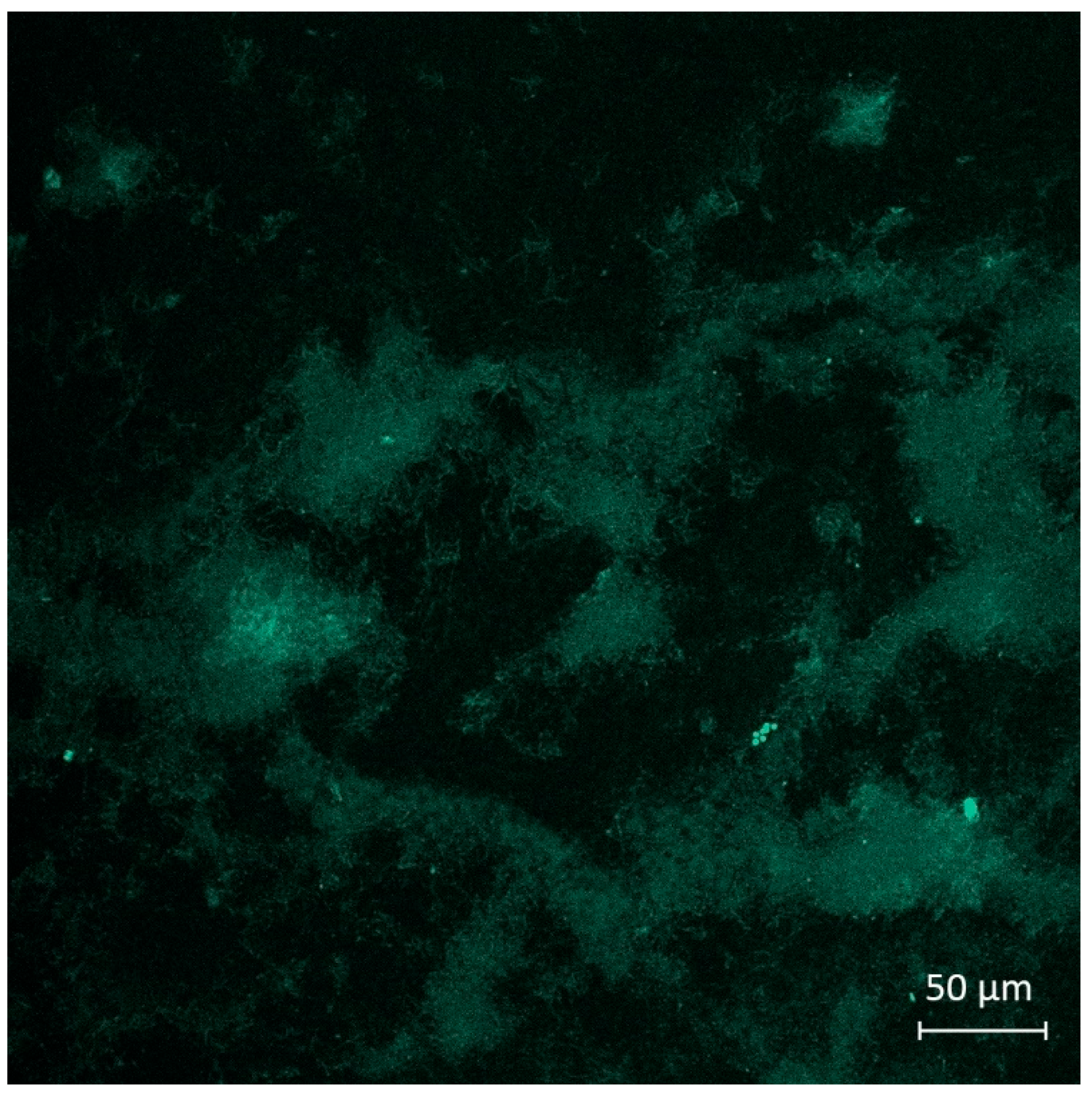 Molecules 30 04622 g007