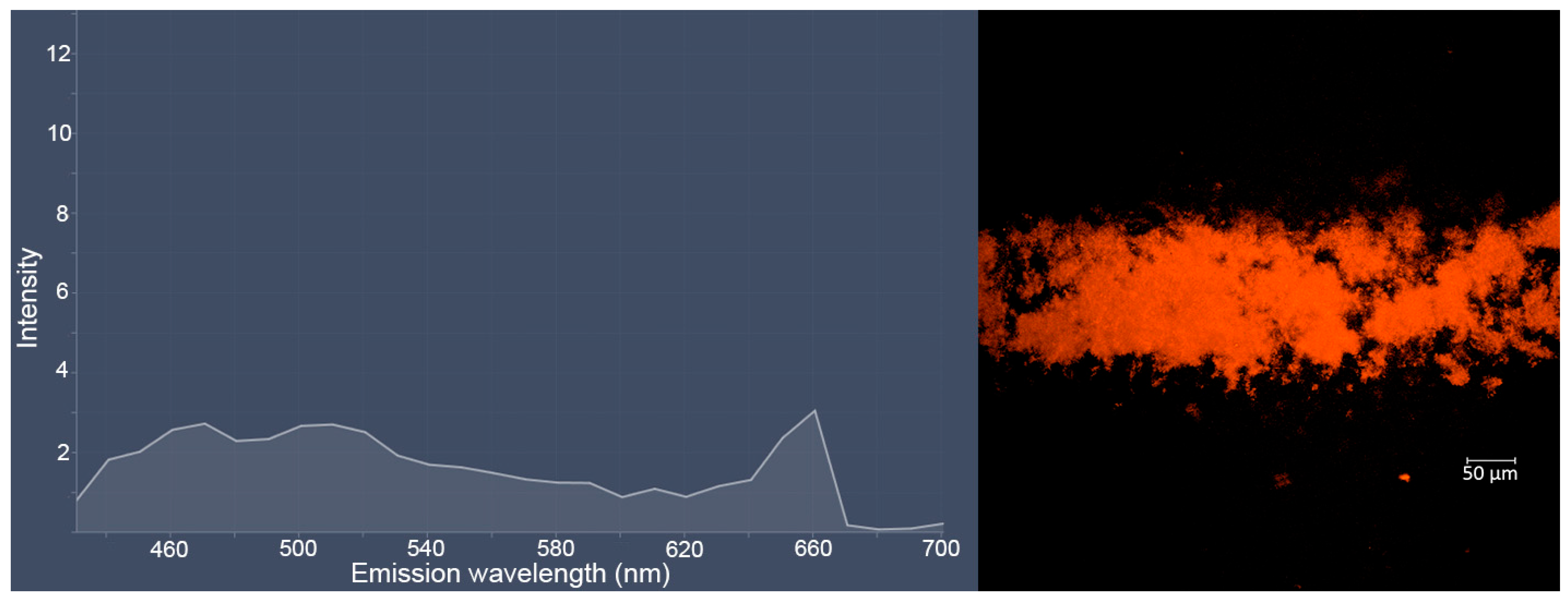 Molecules 30 04622 g008