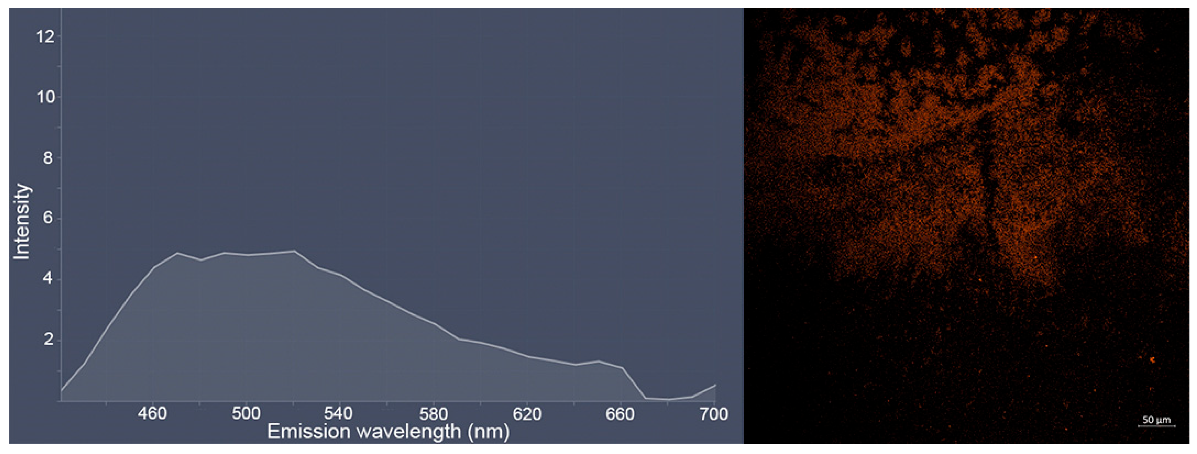 Molecules 30 04622 g009