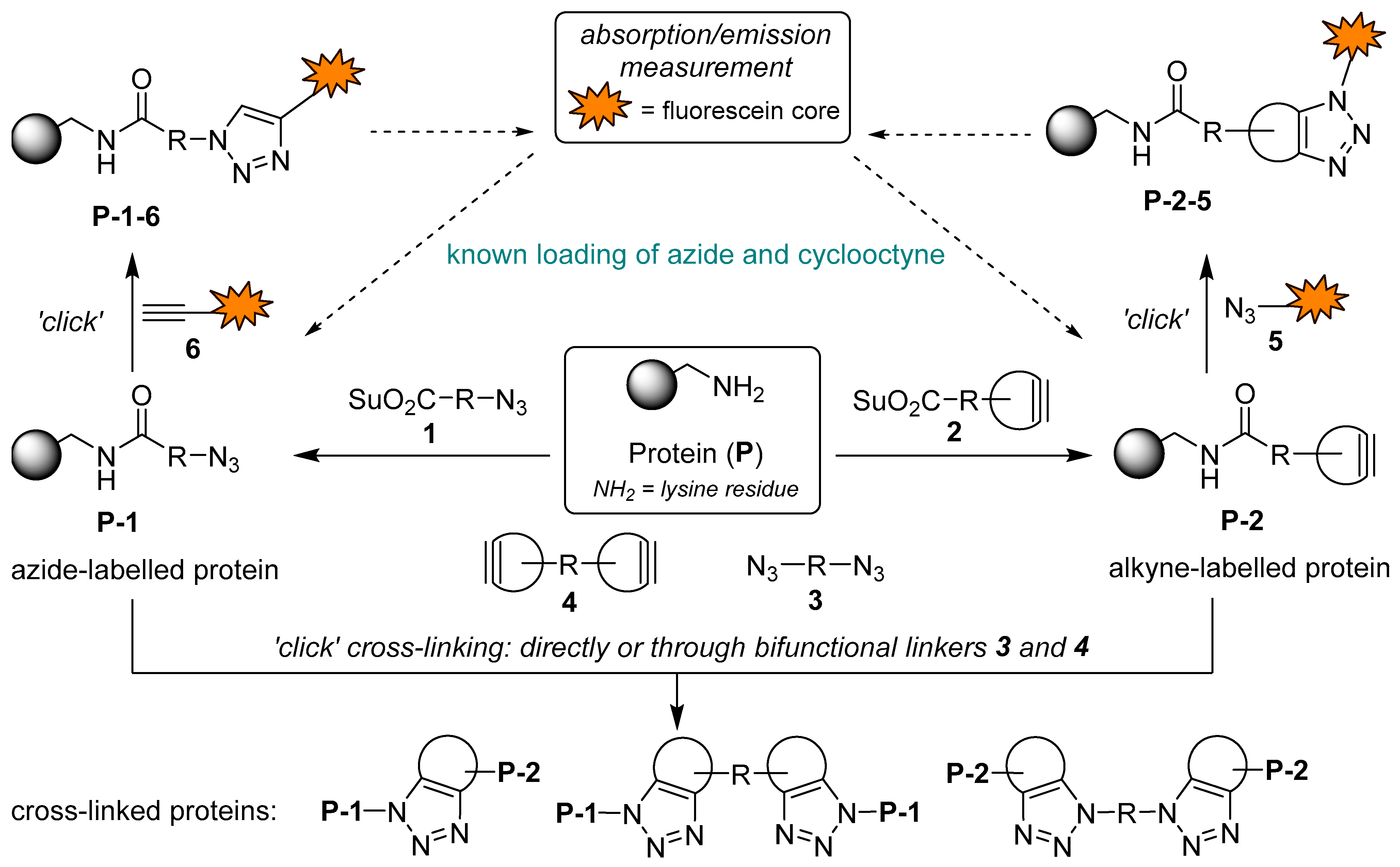 Molecules 30 04623 g001