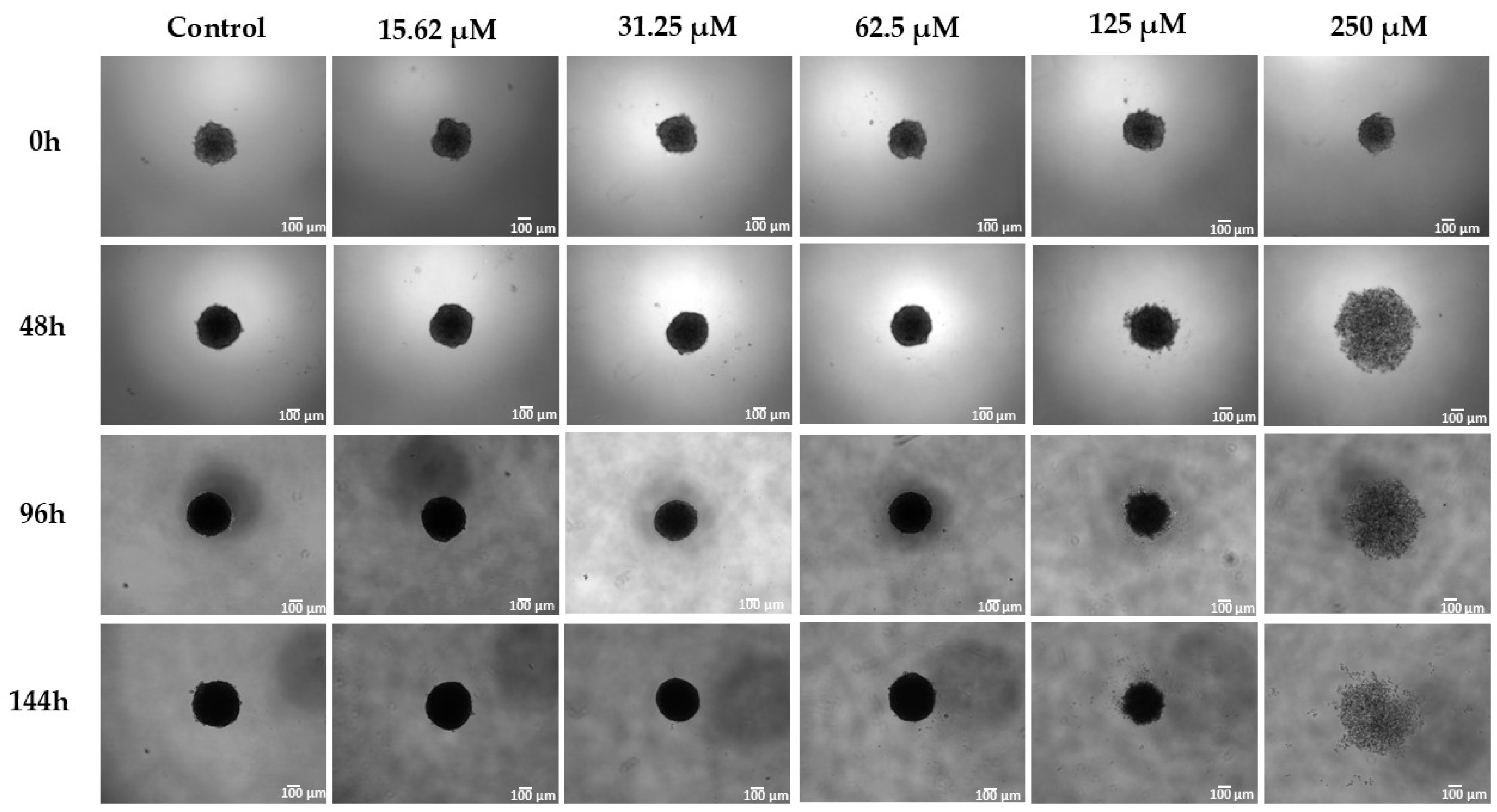 Molecules 30 04629 g005