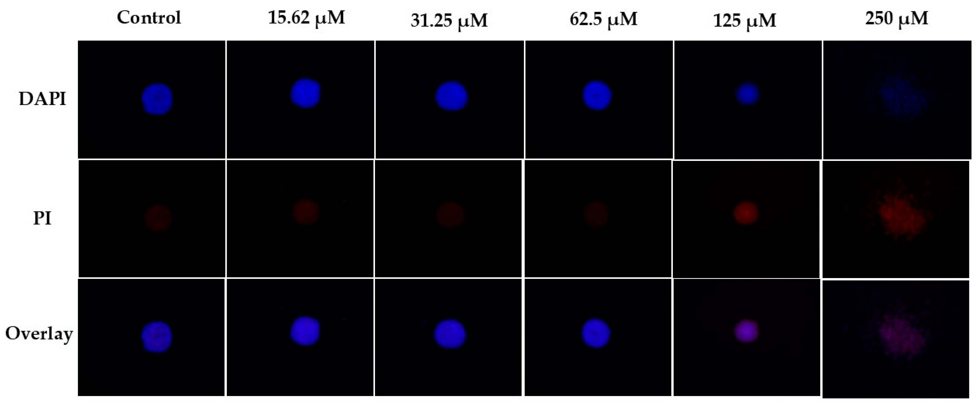 Molecules 30 04629 g006