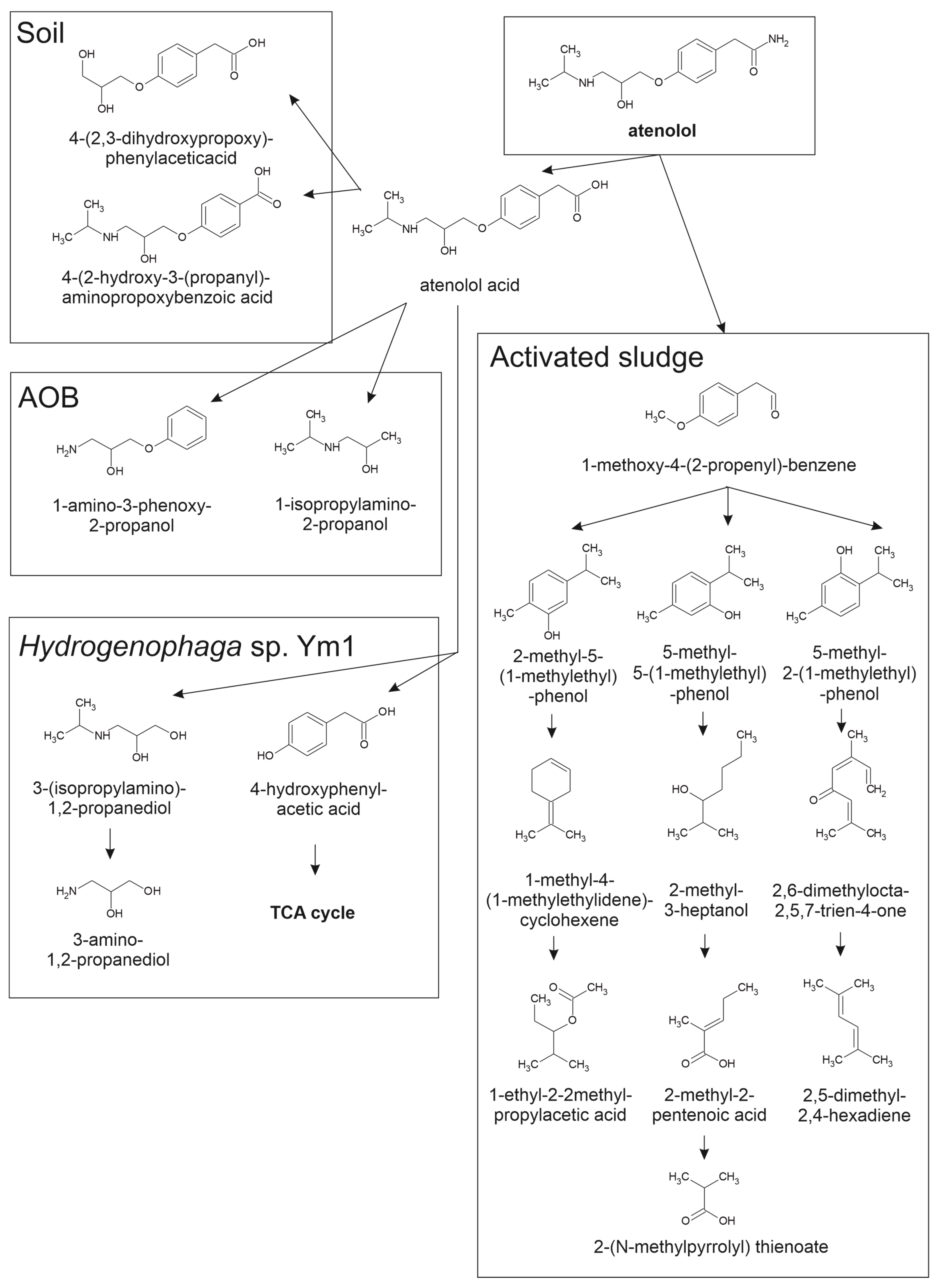 Molecules 30 04630 g003