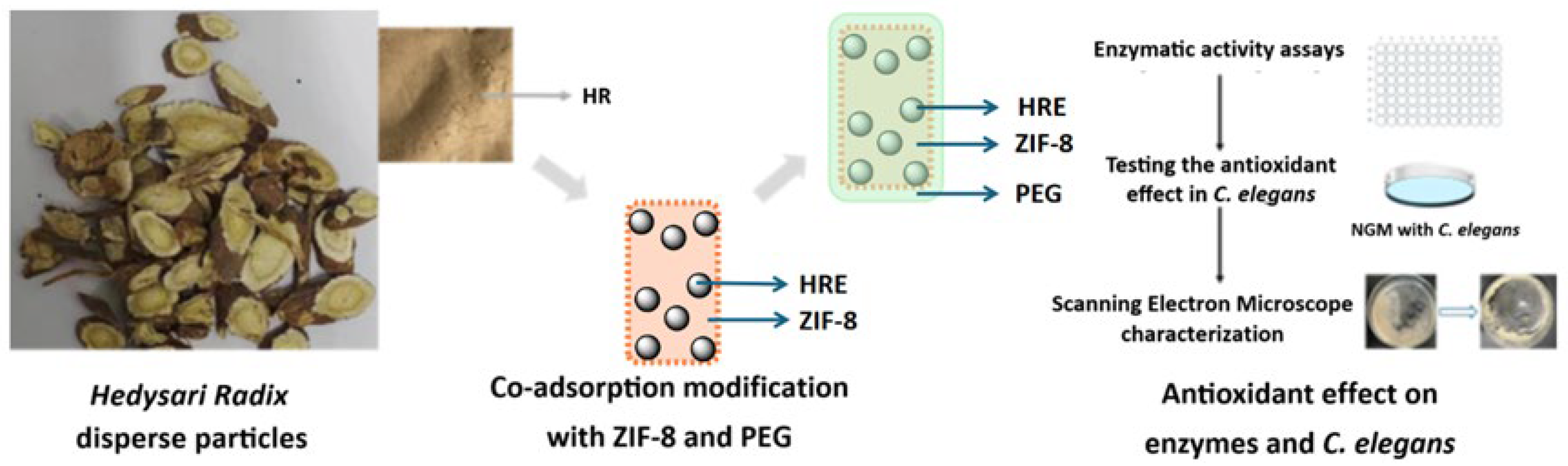 Molecules 30 04632 g001
