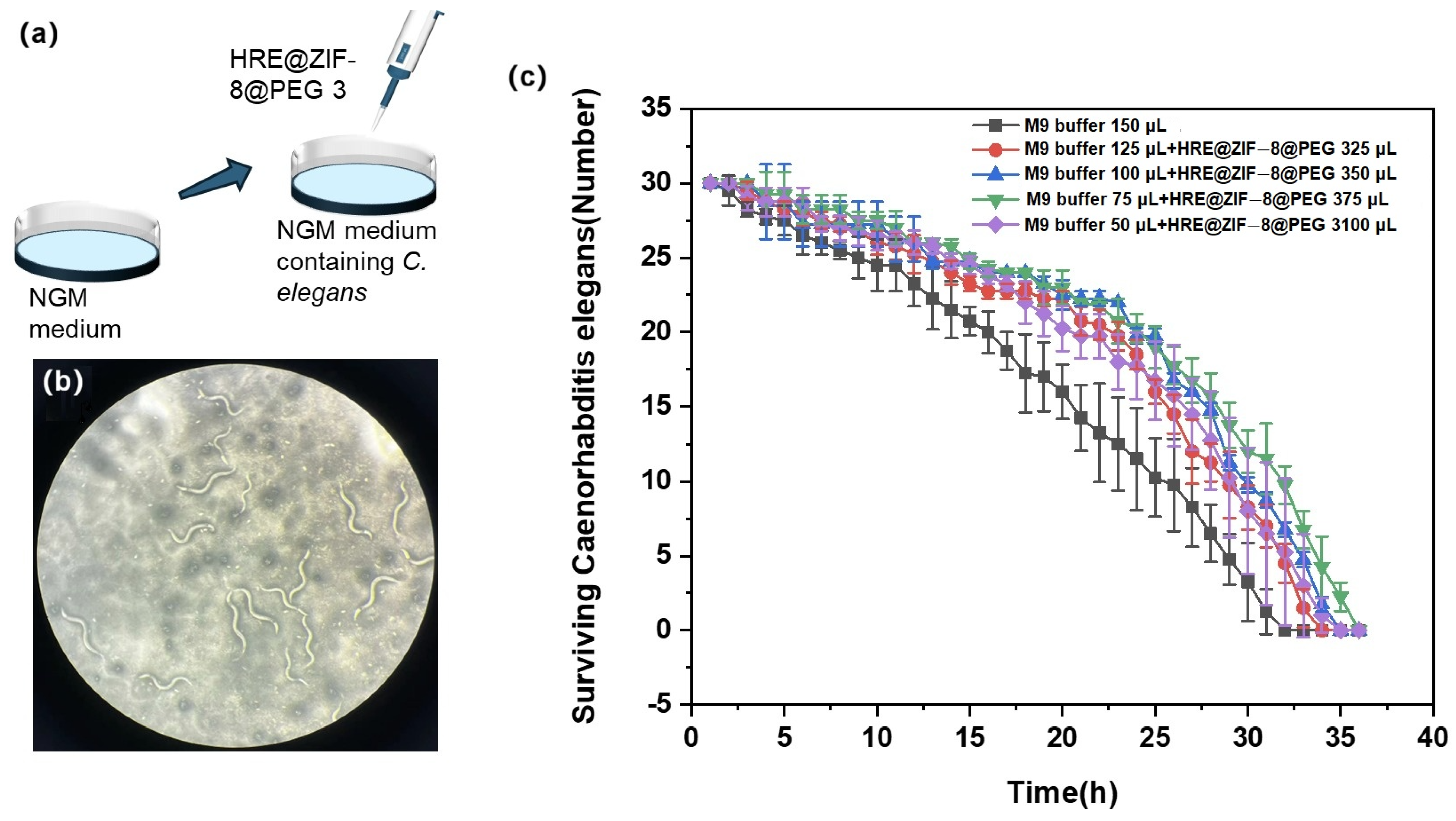 Molecules 30 04632 g005