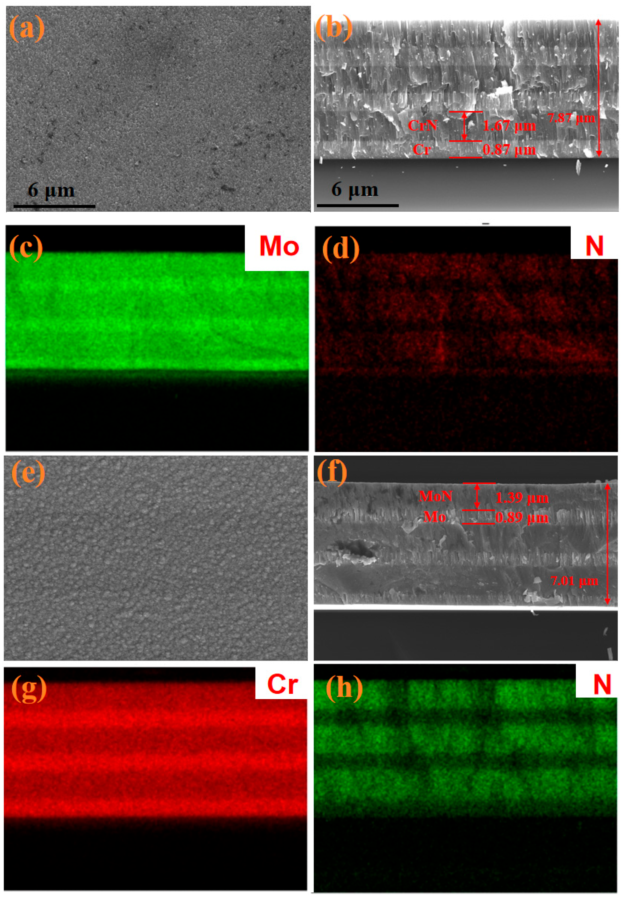Molecules 30 04640 g001 Molecules 30 04640 g001