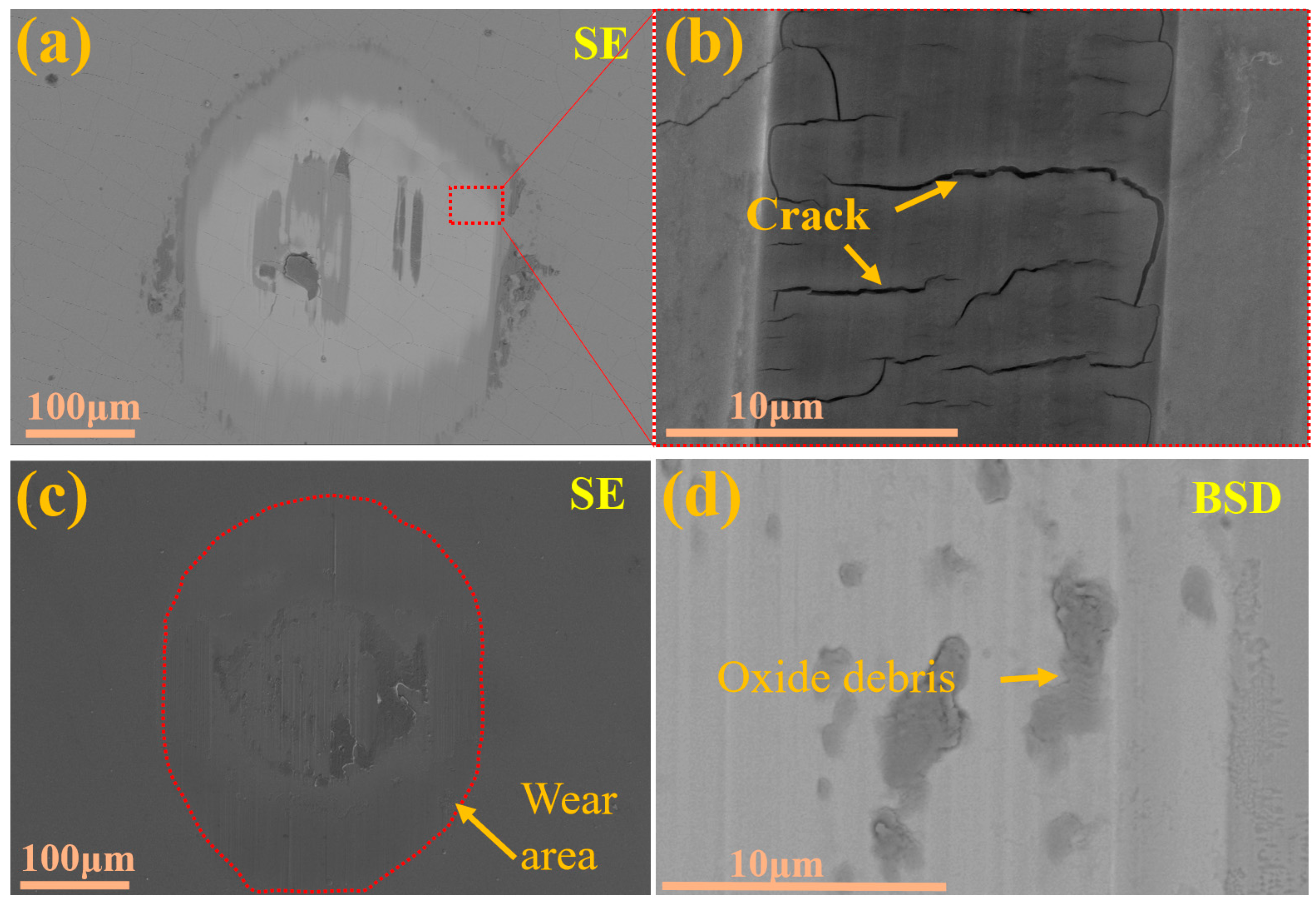 Molecules 30 04640 g007 Molecules 30 04640 g007