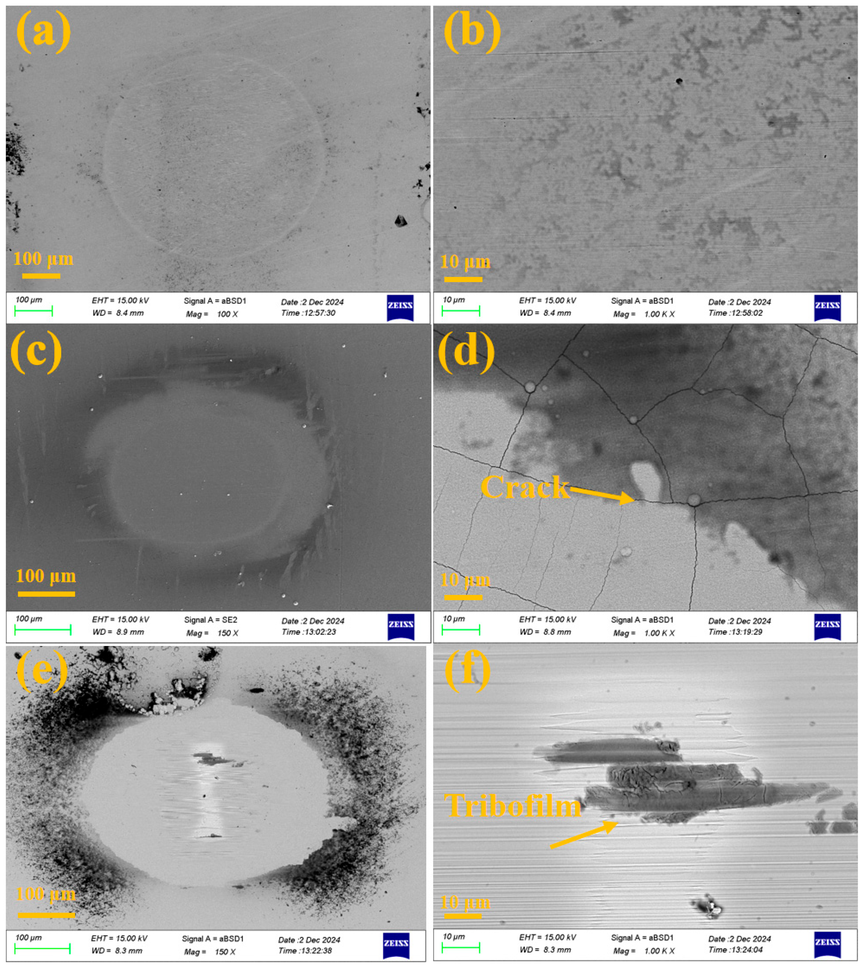Molecules 30 04640 g012 Molecules 30 04640 g012