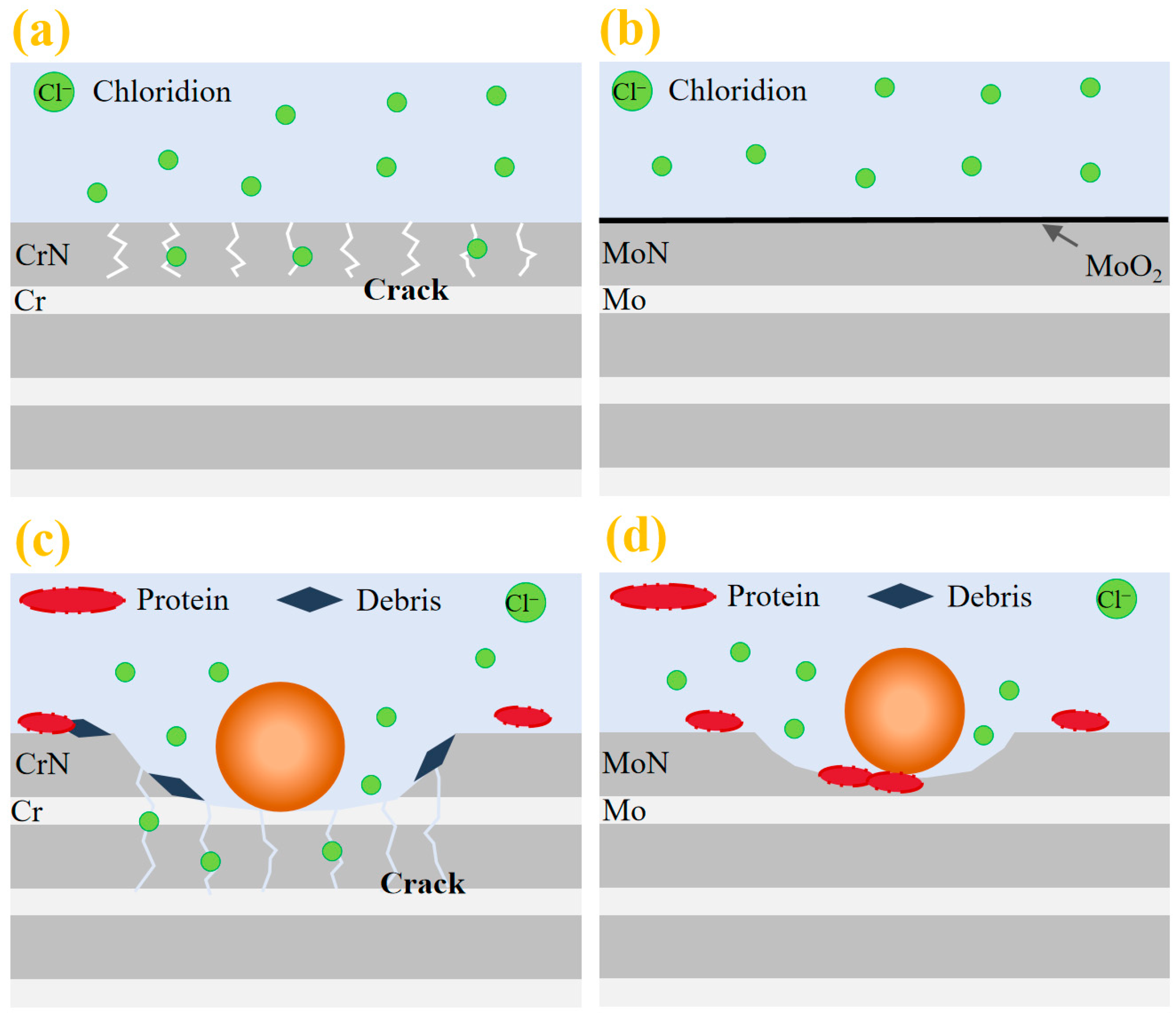 Molecules 30 04640 g014 Molecules 30 04640 g014