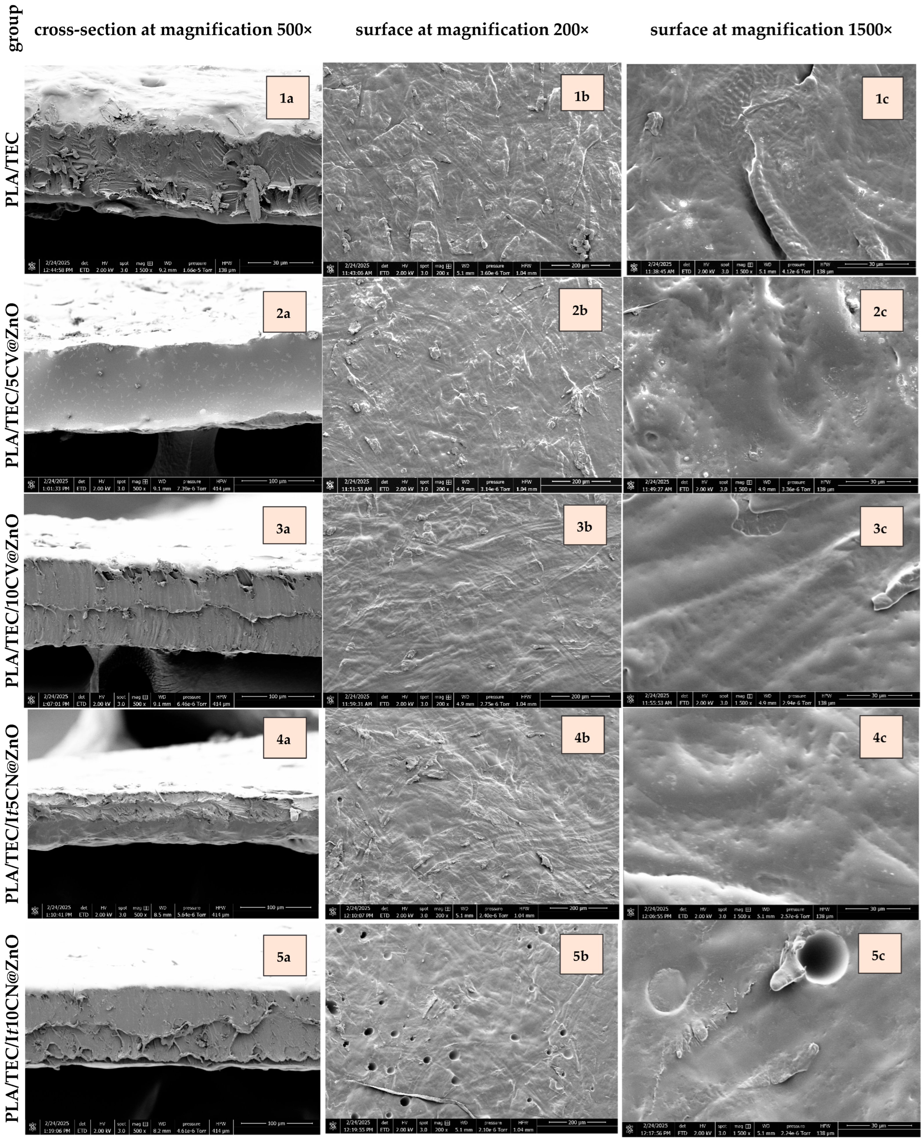 Molecules 30 04646 g005 Molecules 30 04646 g005