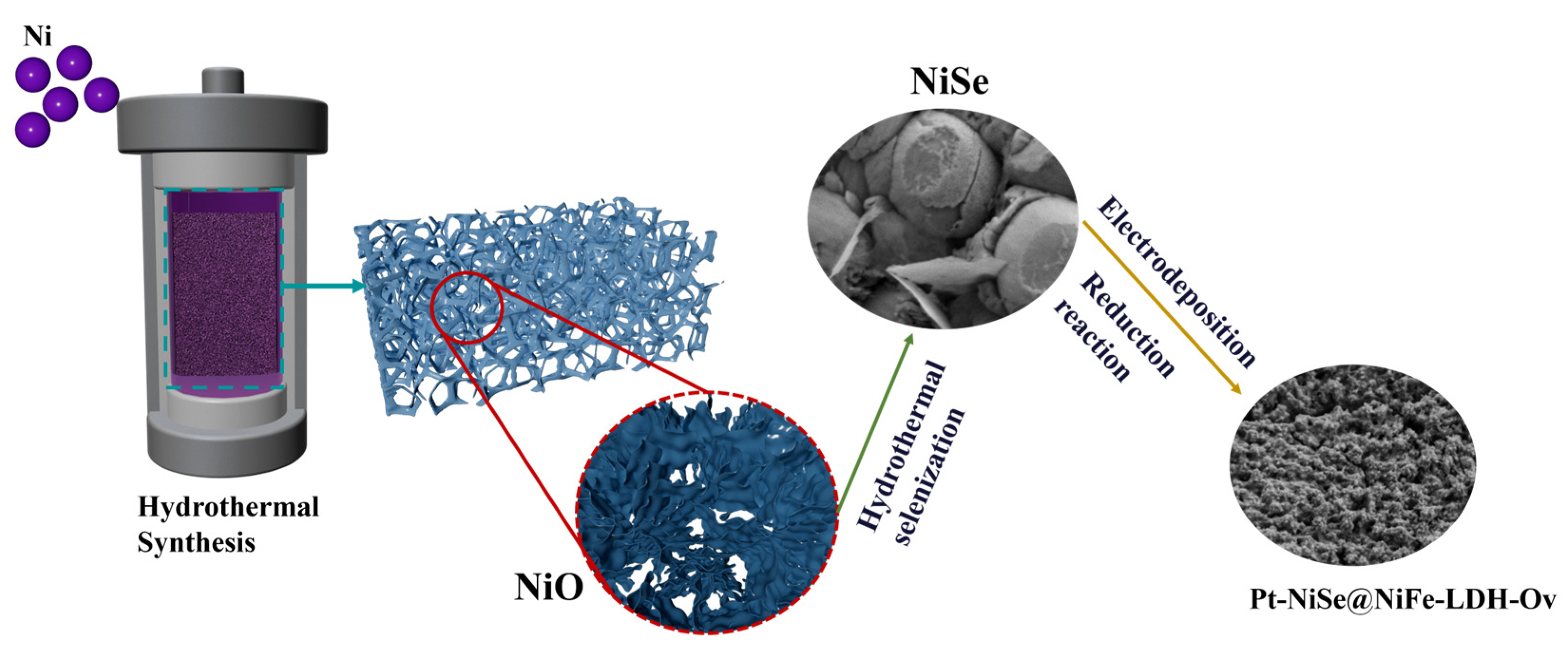 Molecules 30 04654 g001