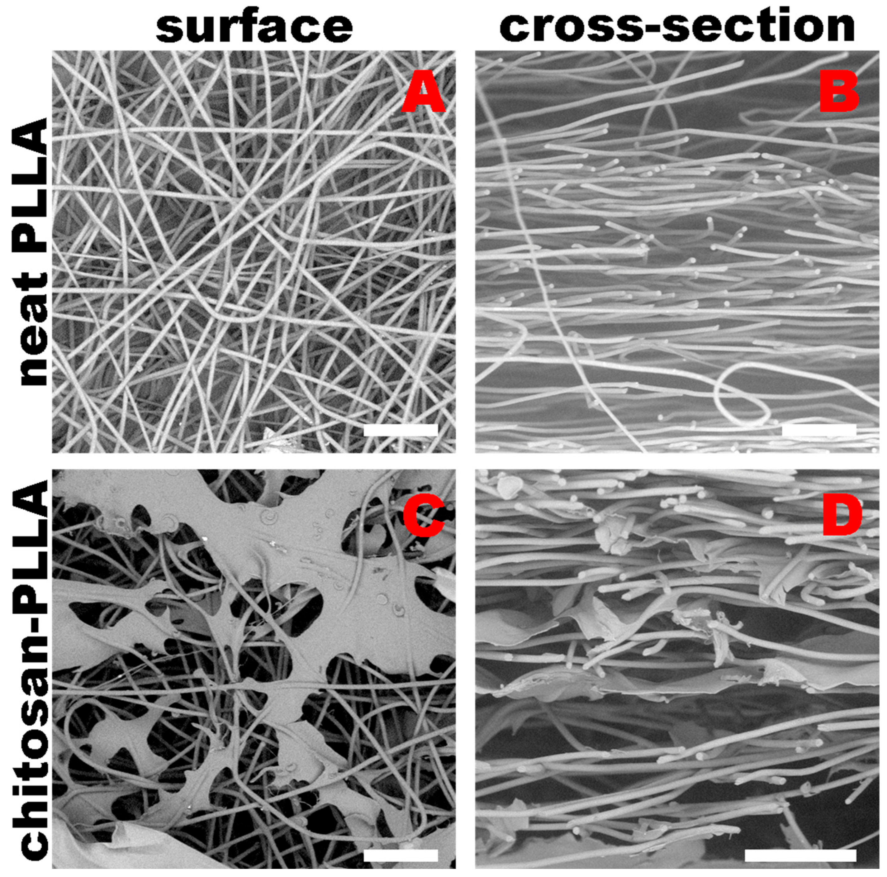 Molecules 30 04657 g001 Molecules 30 04657 g001