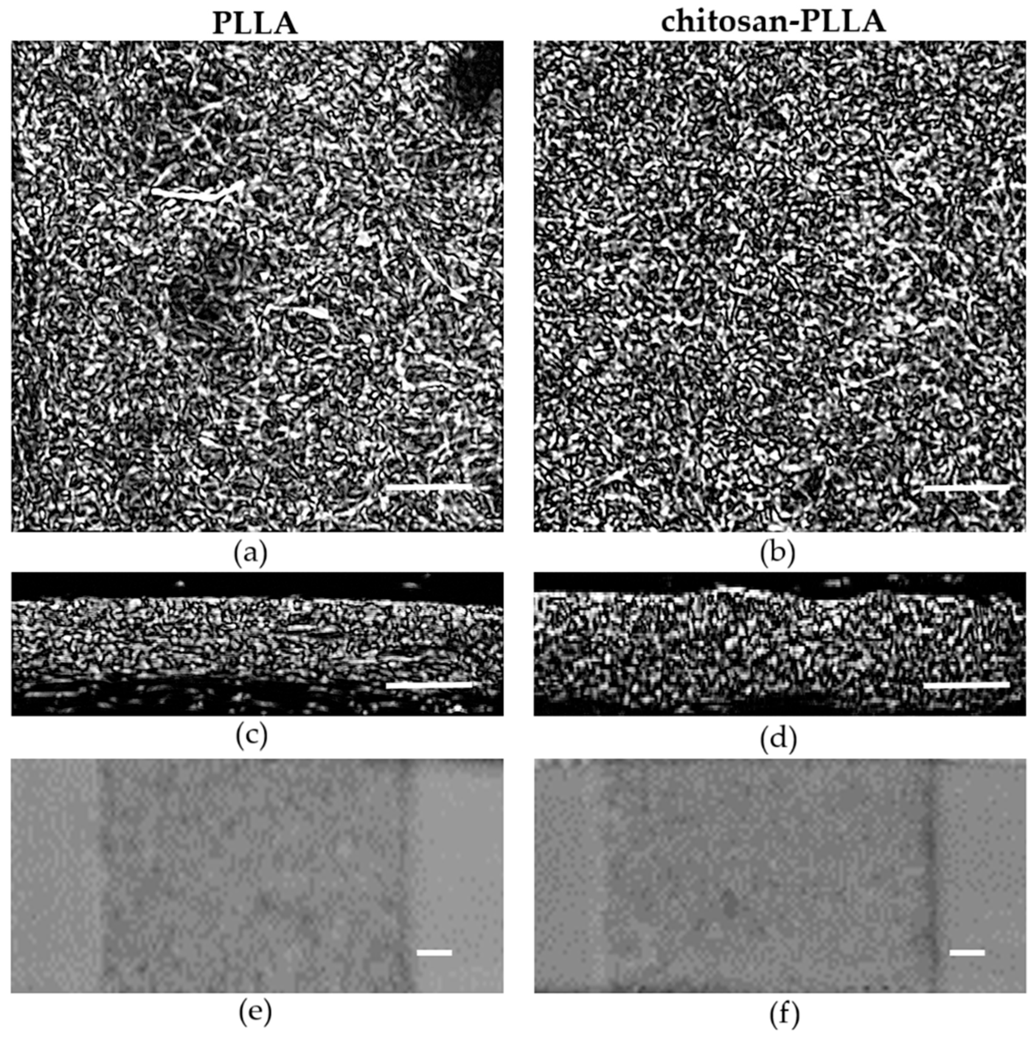 Molecules 30 04657 g004 Molecules 30 04657 g004