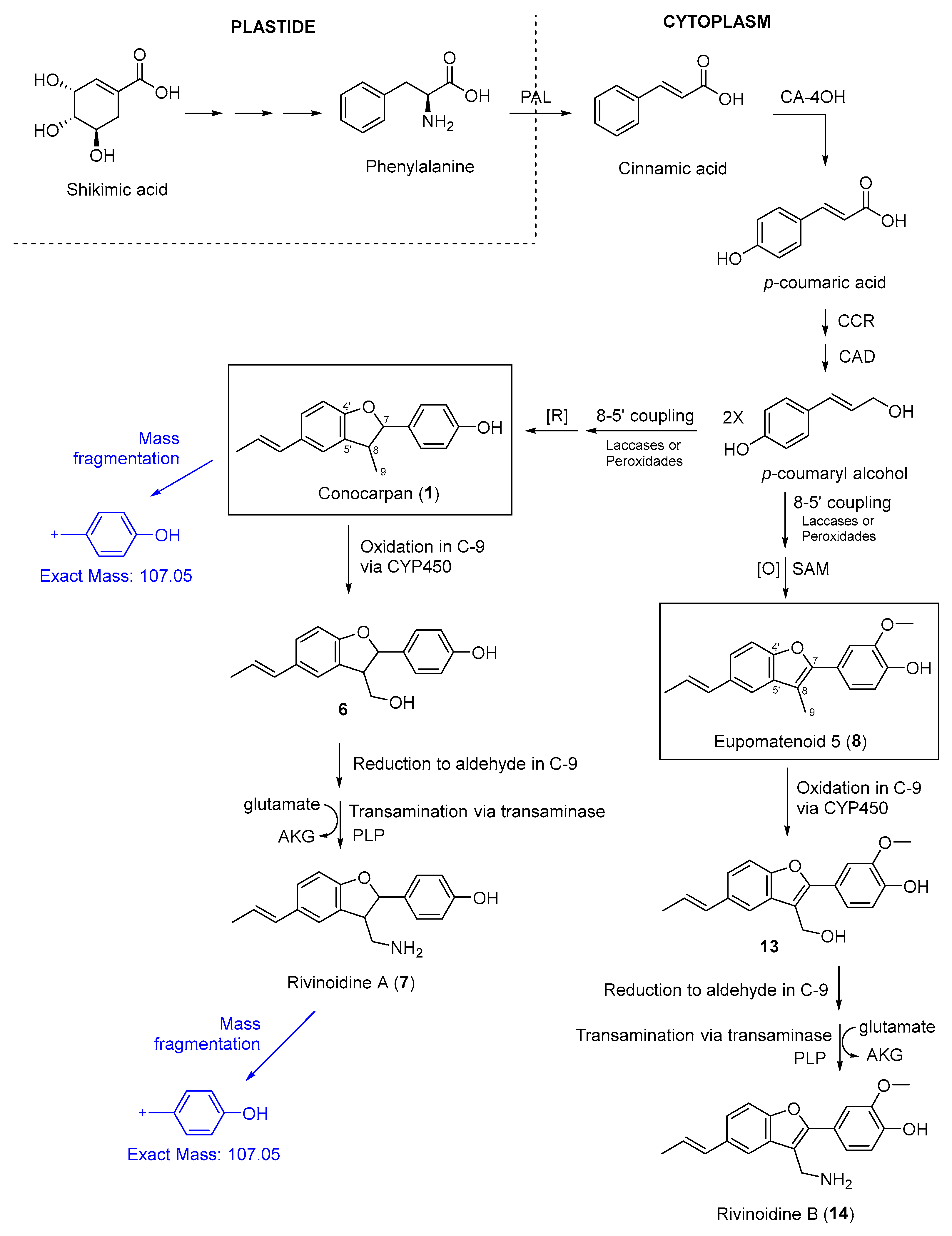 Molecules 30 04682 g008 Molecules 30 04682 g008