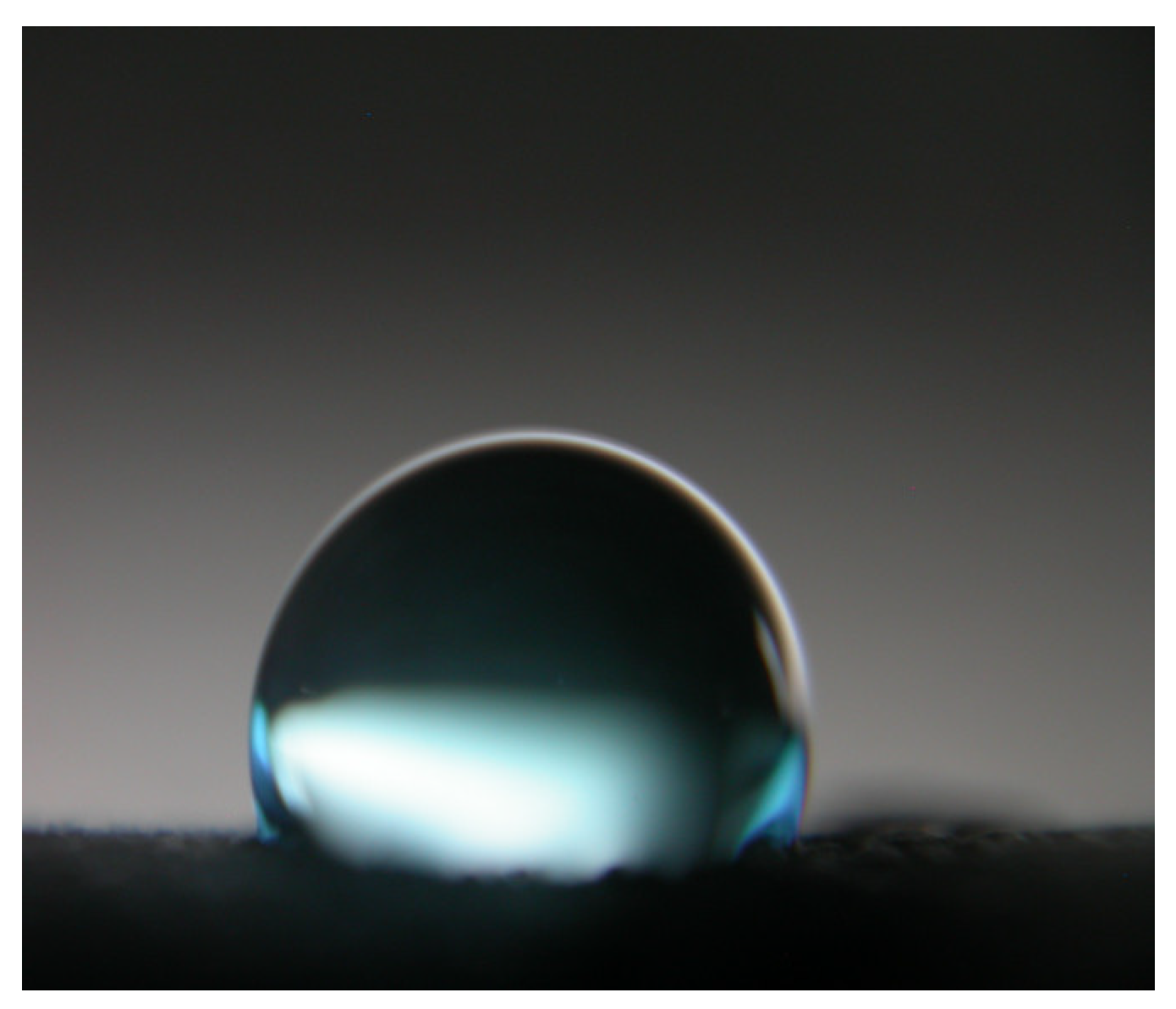 Molecules 30 04698 g005