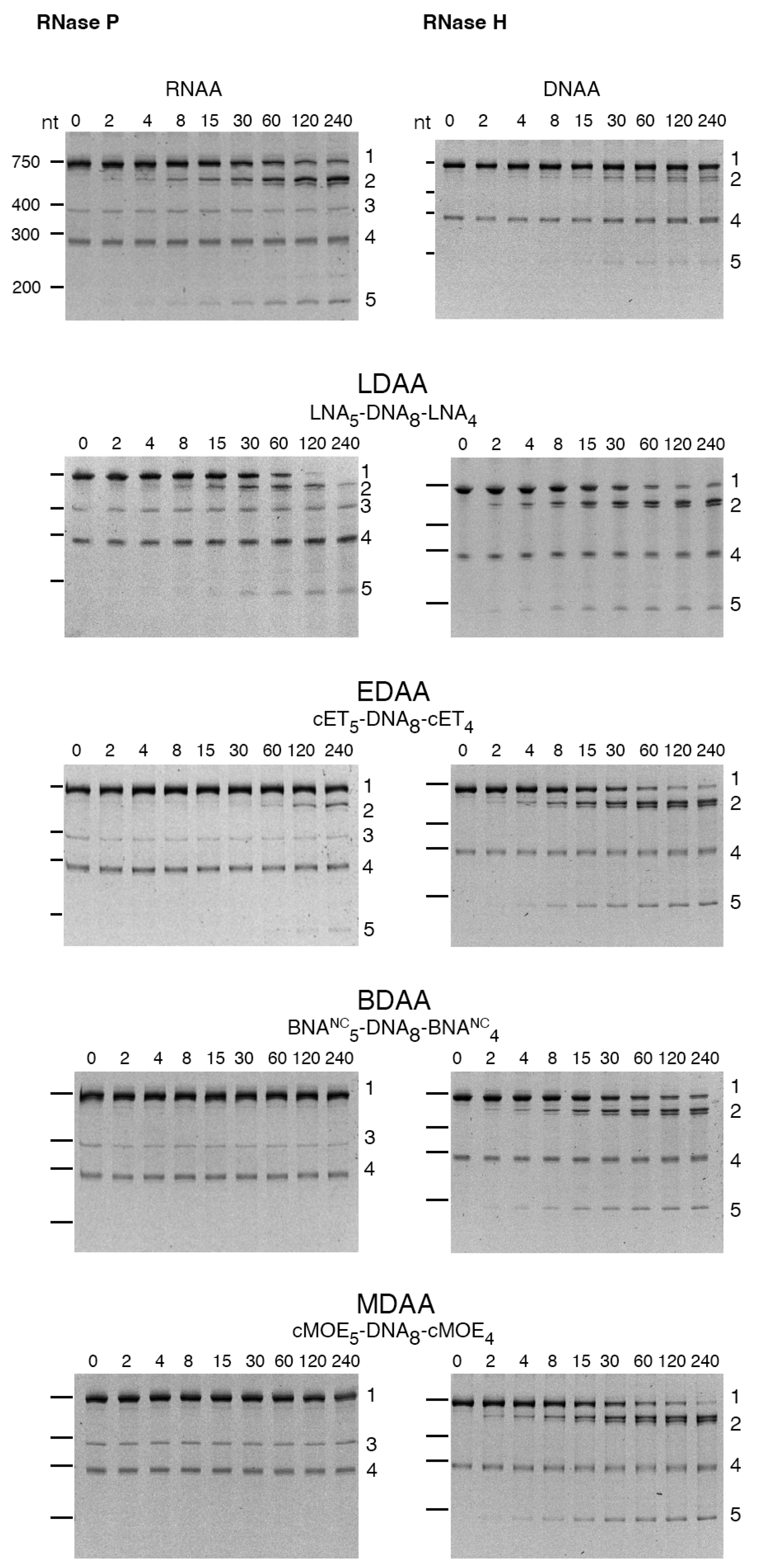 Molecules 30 04721 g003