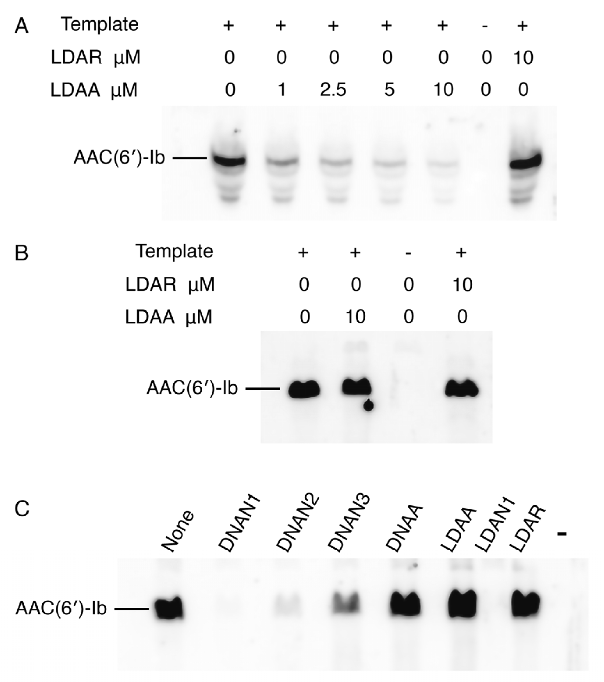 Molecules 30 04721 g004