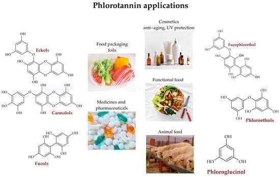 Molecules 30 04733 g004