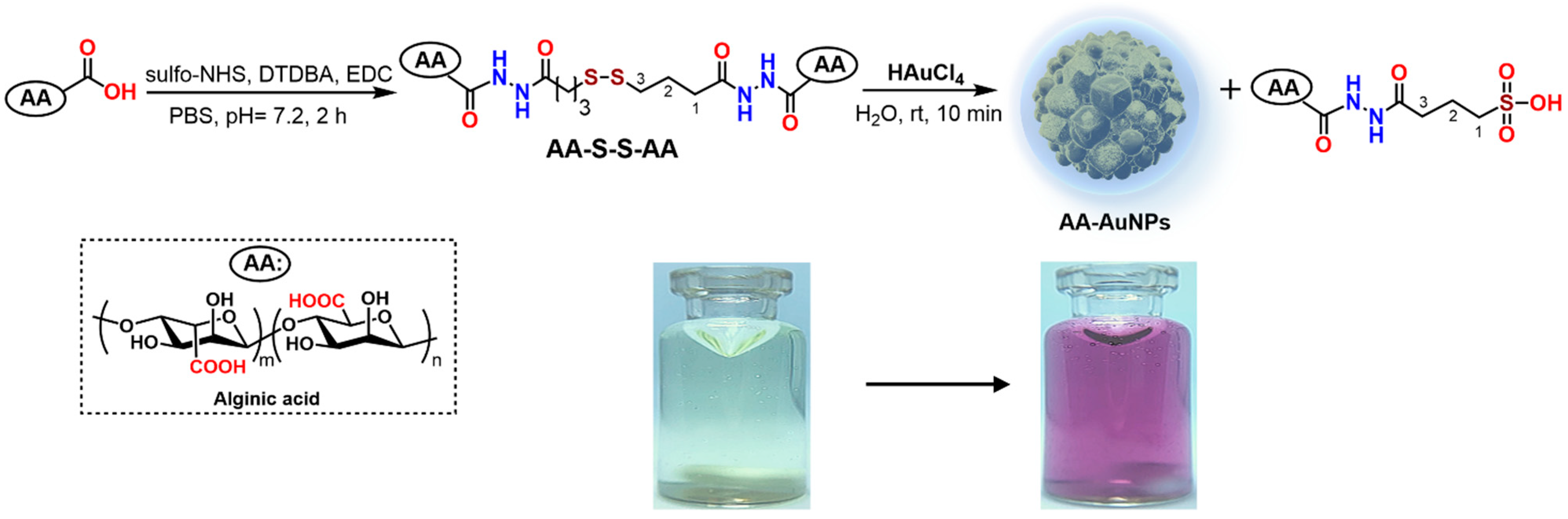 Molecules 30 04750 g001 Molecules 30 04750 g001