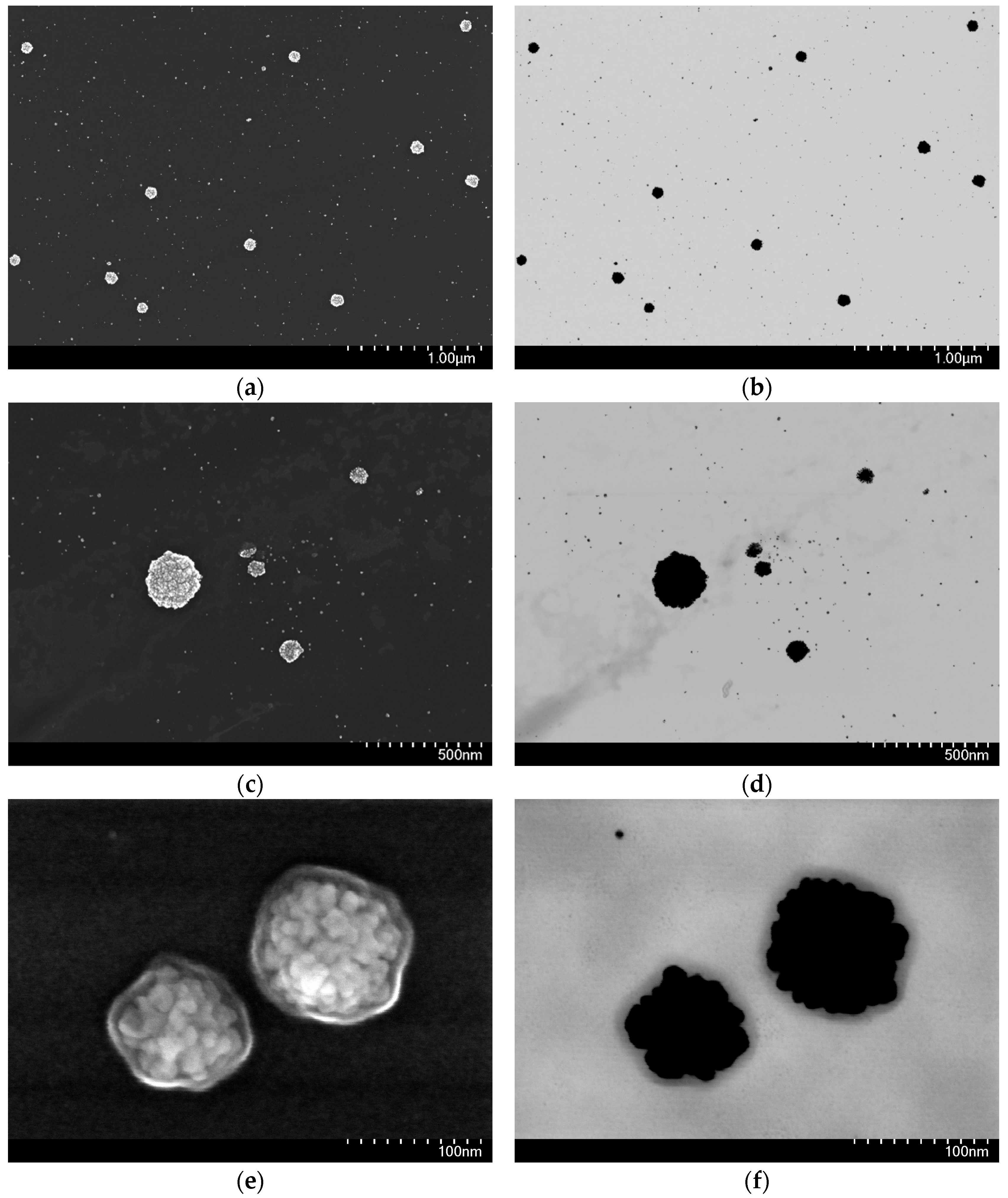 Molecules 30 04750 g004 Molecules 30 04750 g004