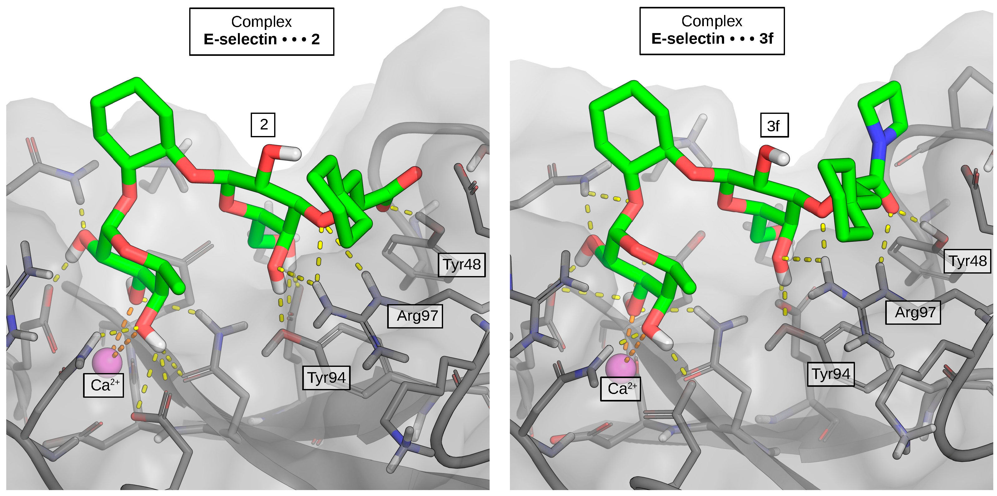 Molecules 30 04751 g001