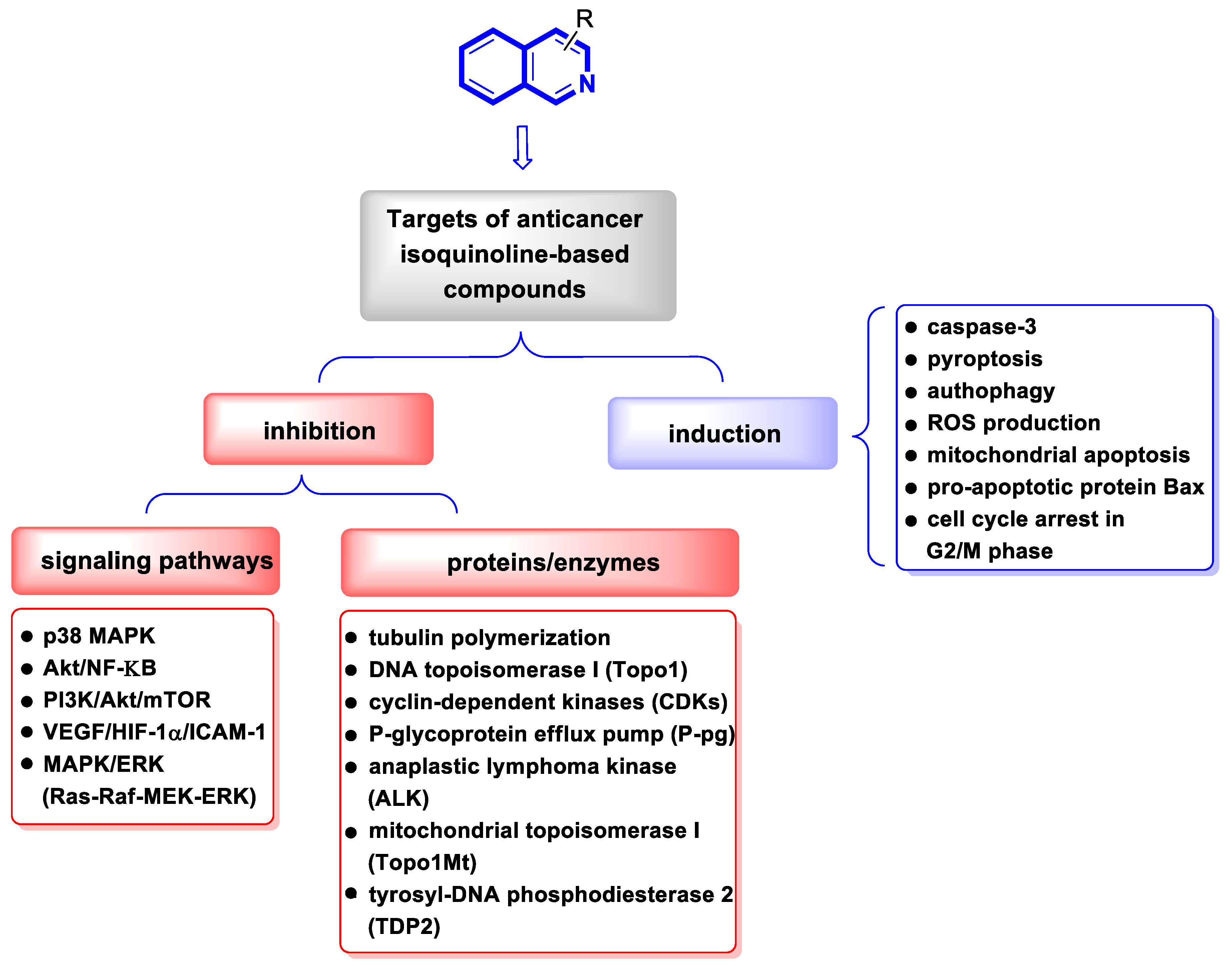Molecules 30 04760 g005 Molecules 30 04760 g005