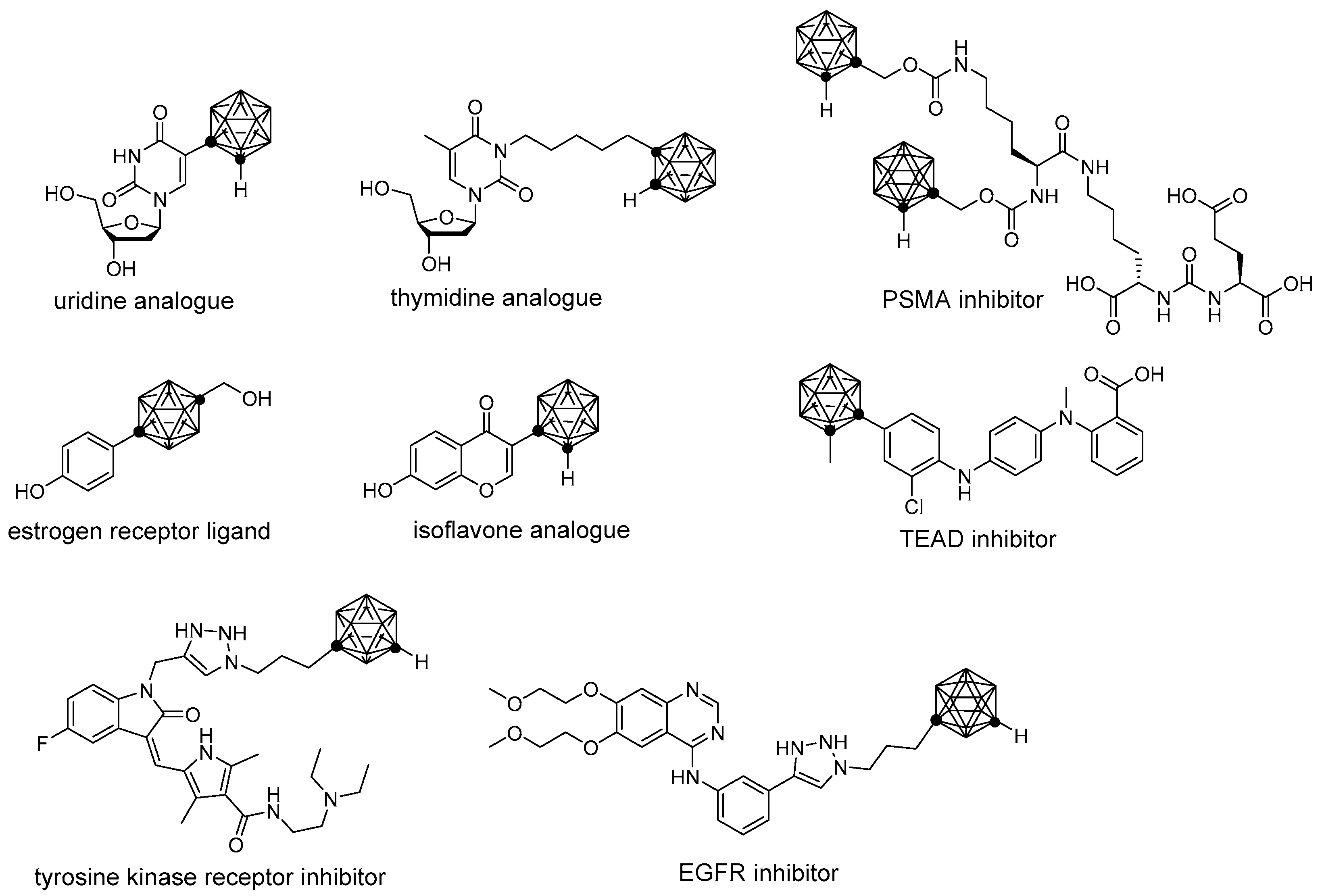 Molecules 30 04789 g001