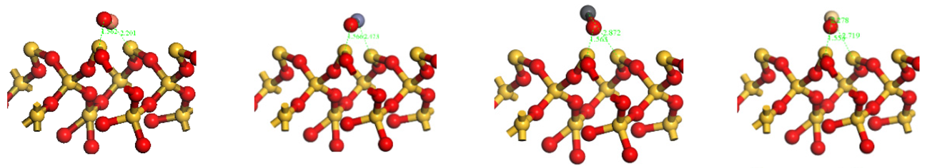 Molecules 30 04792 i002 Molecules 30 04792 i002