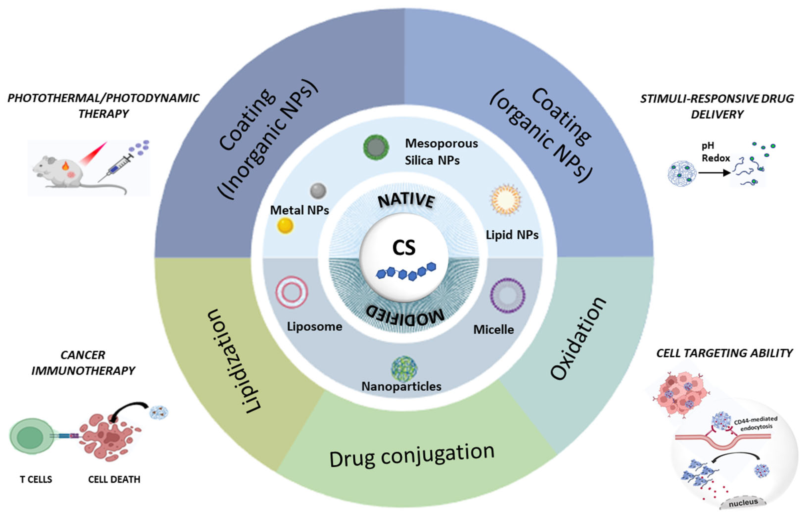 Molecules 30 04798 g002
